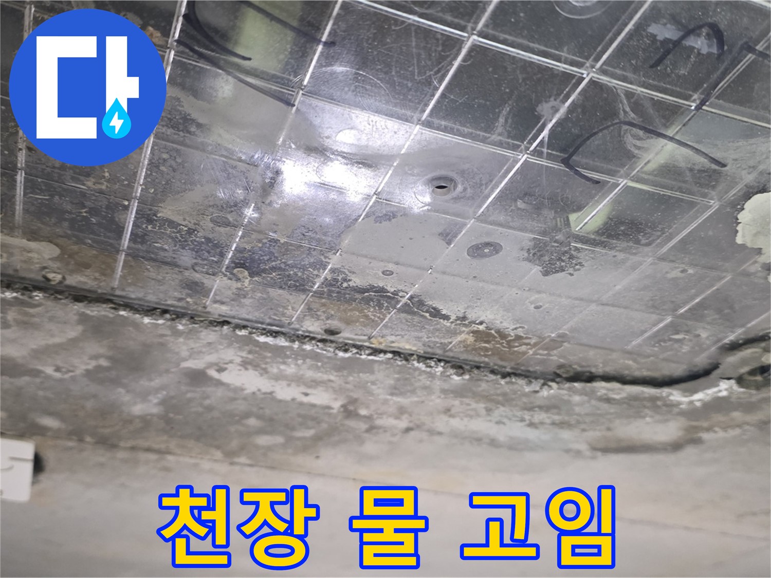 천장 물 고임 - 누수로 인해 천장에 물이 고여 있습니다.
