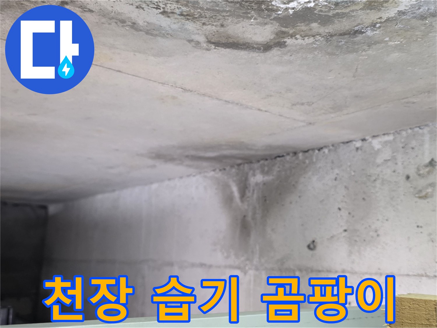 콘크리트 천장 습기 - 일산 누수, 곰팡이 발생 가능성 높음