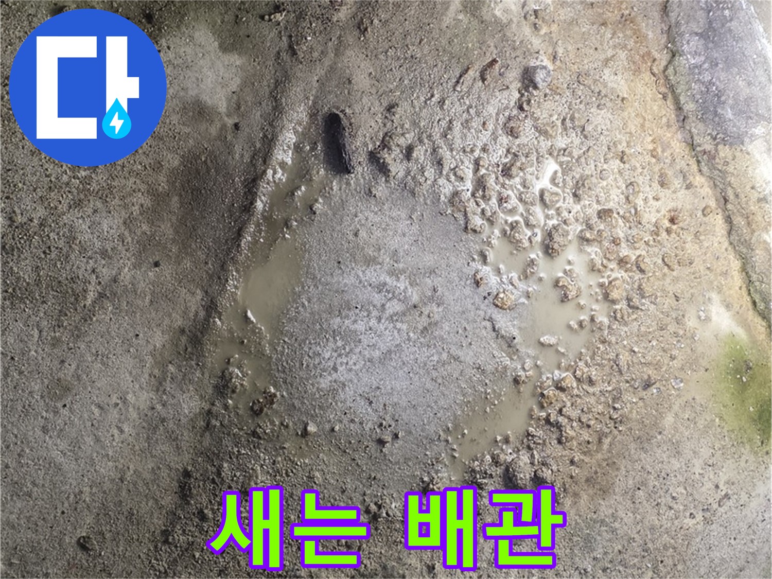 철원군 서면 와수리 누수 - 물이 새는 배관, 누수 탐지 전문 장비로 정확하게 찾아냅니다.