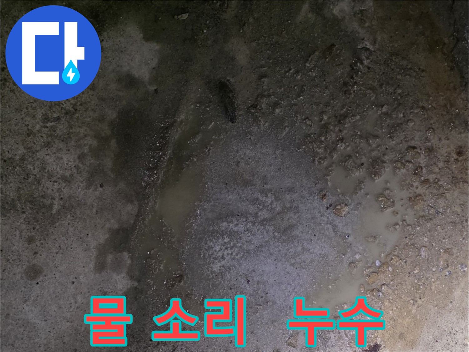 철원군 서면 와수리 누수 현장 - 물이 떨어지는 소리를 통해 누수 지점을 추적하고 있습니다.