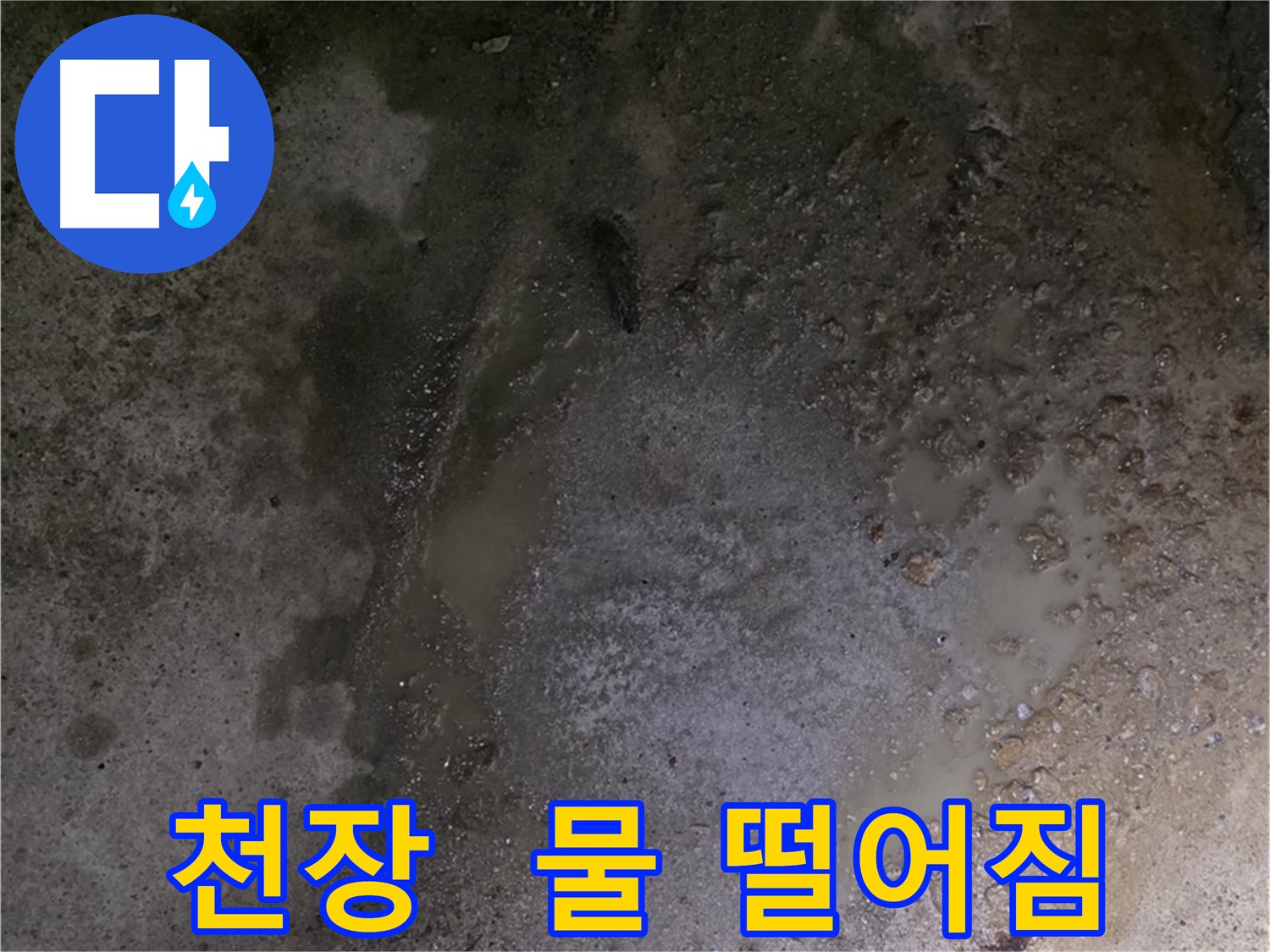 철원군 서면 와수리 누수 현장 - 천장에서 물이 뚝뚝 떨어지는 심각한 누수 상황입니다.