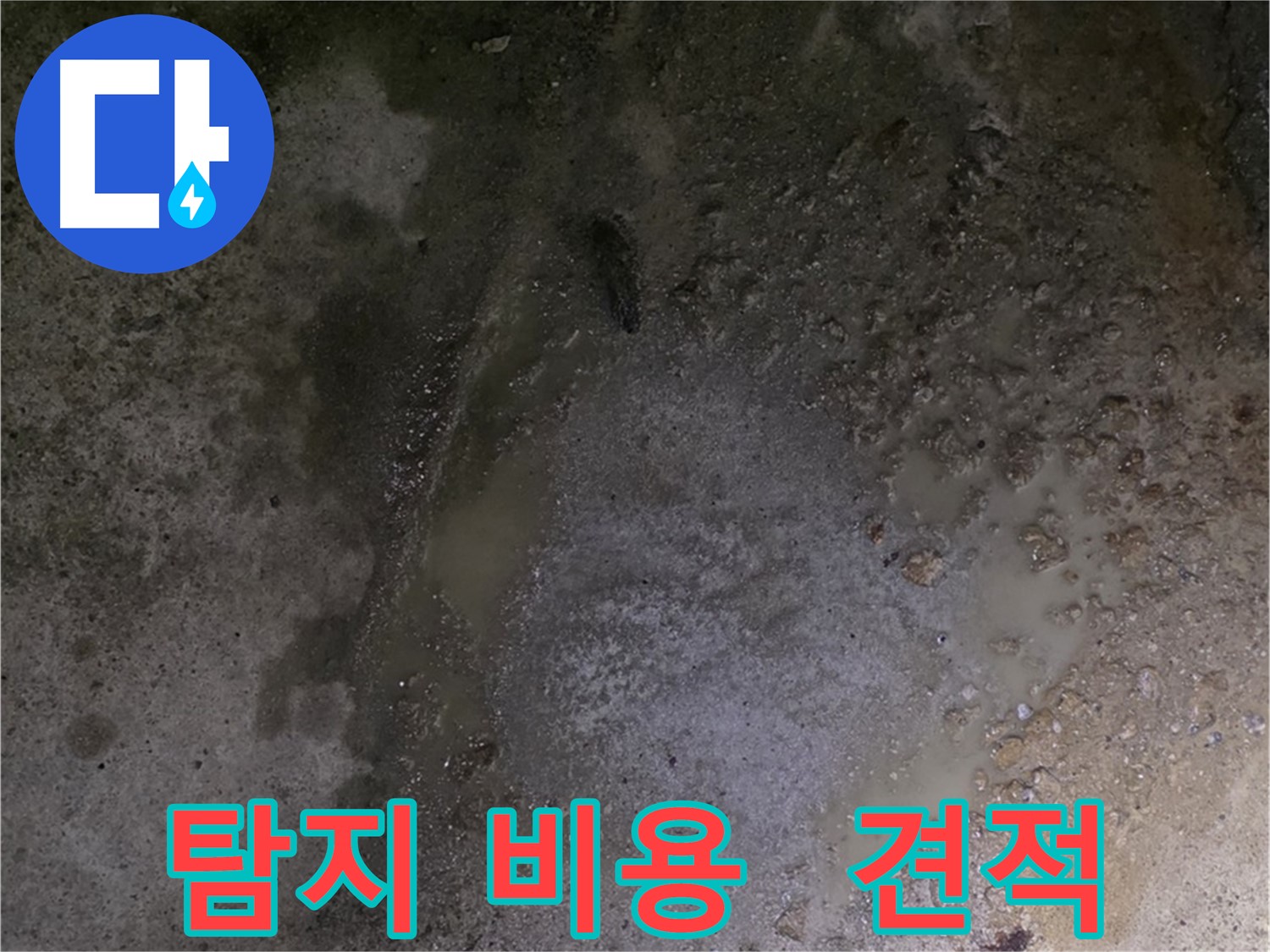 철원군 서면 와수리 누수 현장 - 합리적인 누수 탐지 비용으로 고객님의 부담을 덜어드립니다.