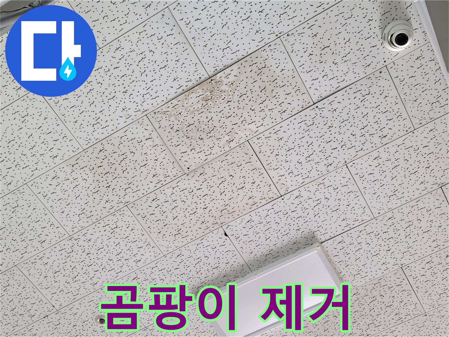 김포 마산동 누수 - 텍스 천장 곰팡이 제거 및 건강을 위한 예방