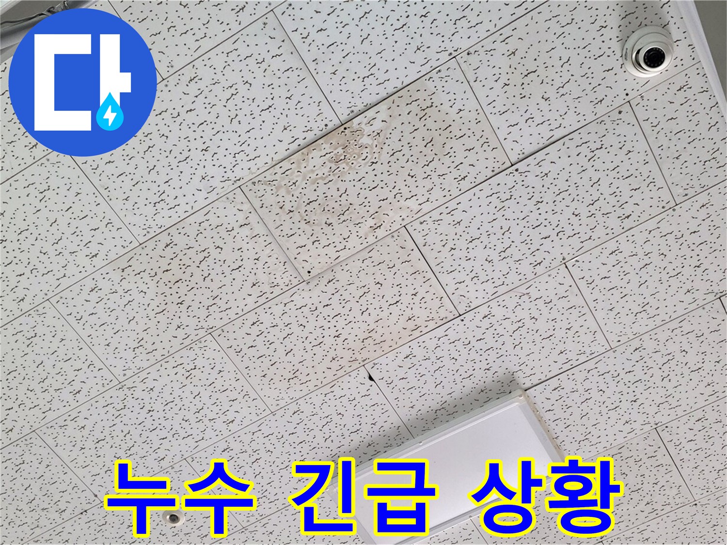 김포 장기동 천장 누수 - 긴급 누수 상황