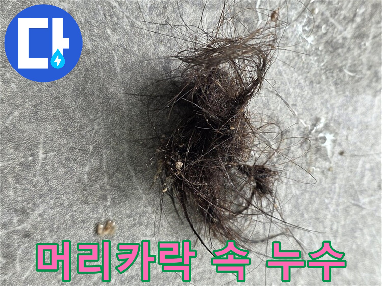 머리카락 속 누수 - 머리카락 뭉치 속에 숨겨진 누수, 놓치지 않고 꼼꼼하게 확인합니다.