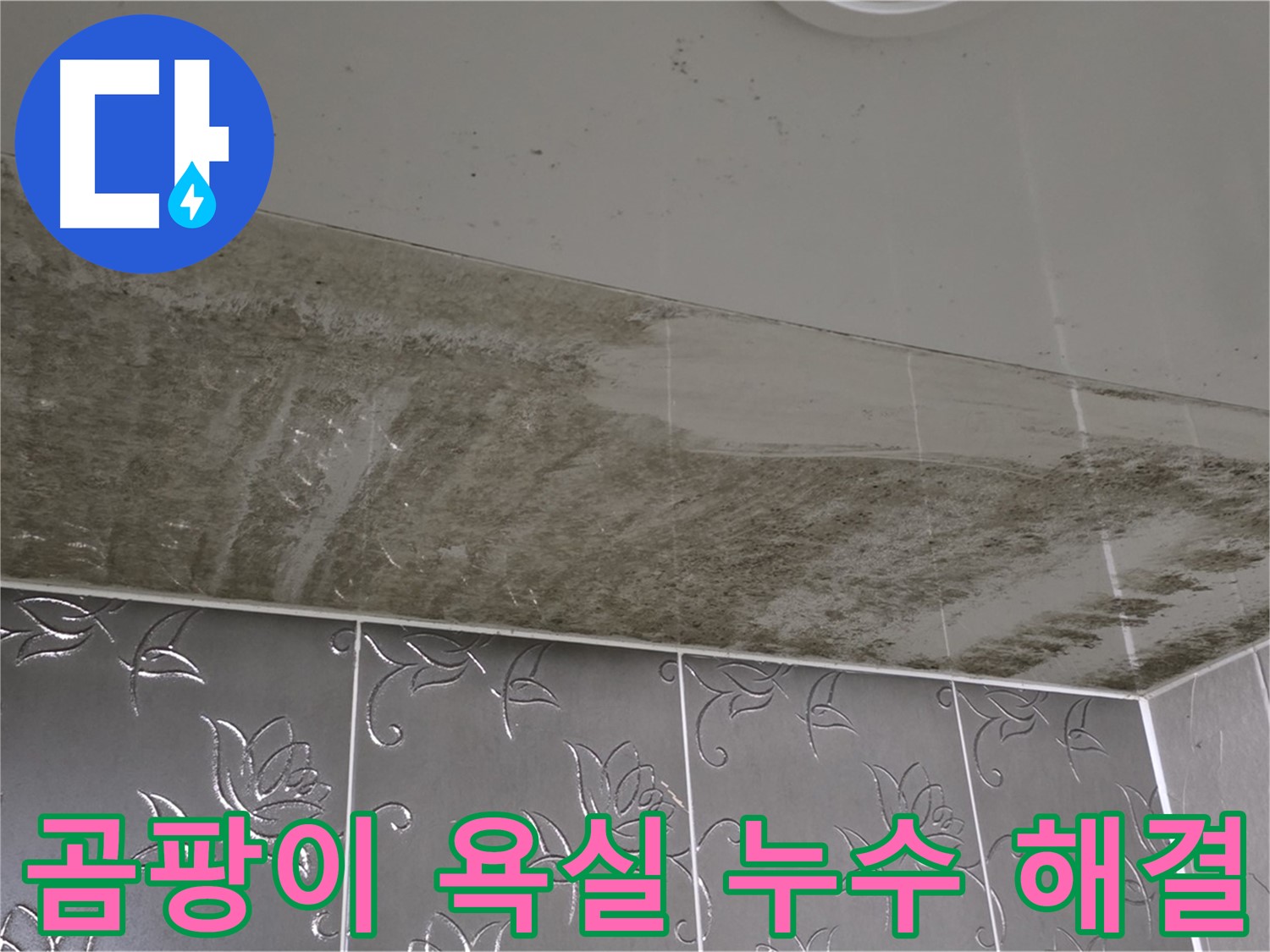 곰팡이 가득한 욕실 - 숨은 누수 지점을 찾아 완벽하게 해결