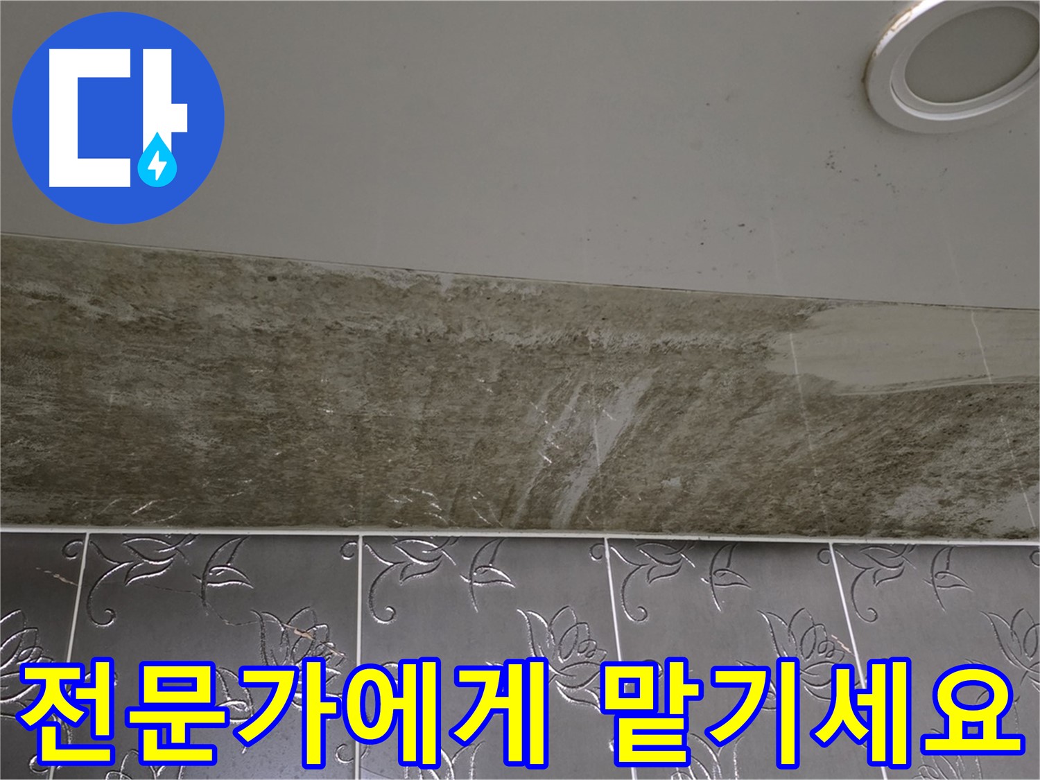 곰팡이 심한 욕실 - 누수, 늦기 전에 전문가에게 맡기세요!