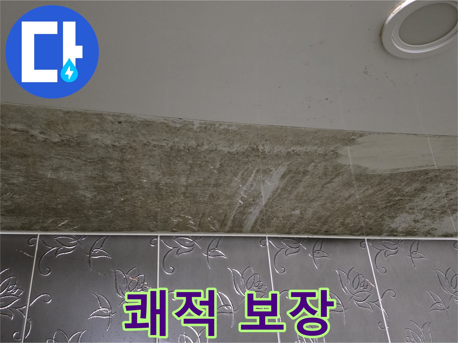 곰팡이 핀 화장실 천장 - 곰팡이 OUT, 쾌적하고 뽀송한 우리집! 확실하게 책임 시공 보장합니다!