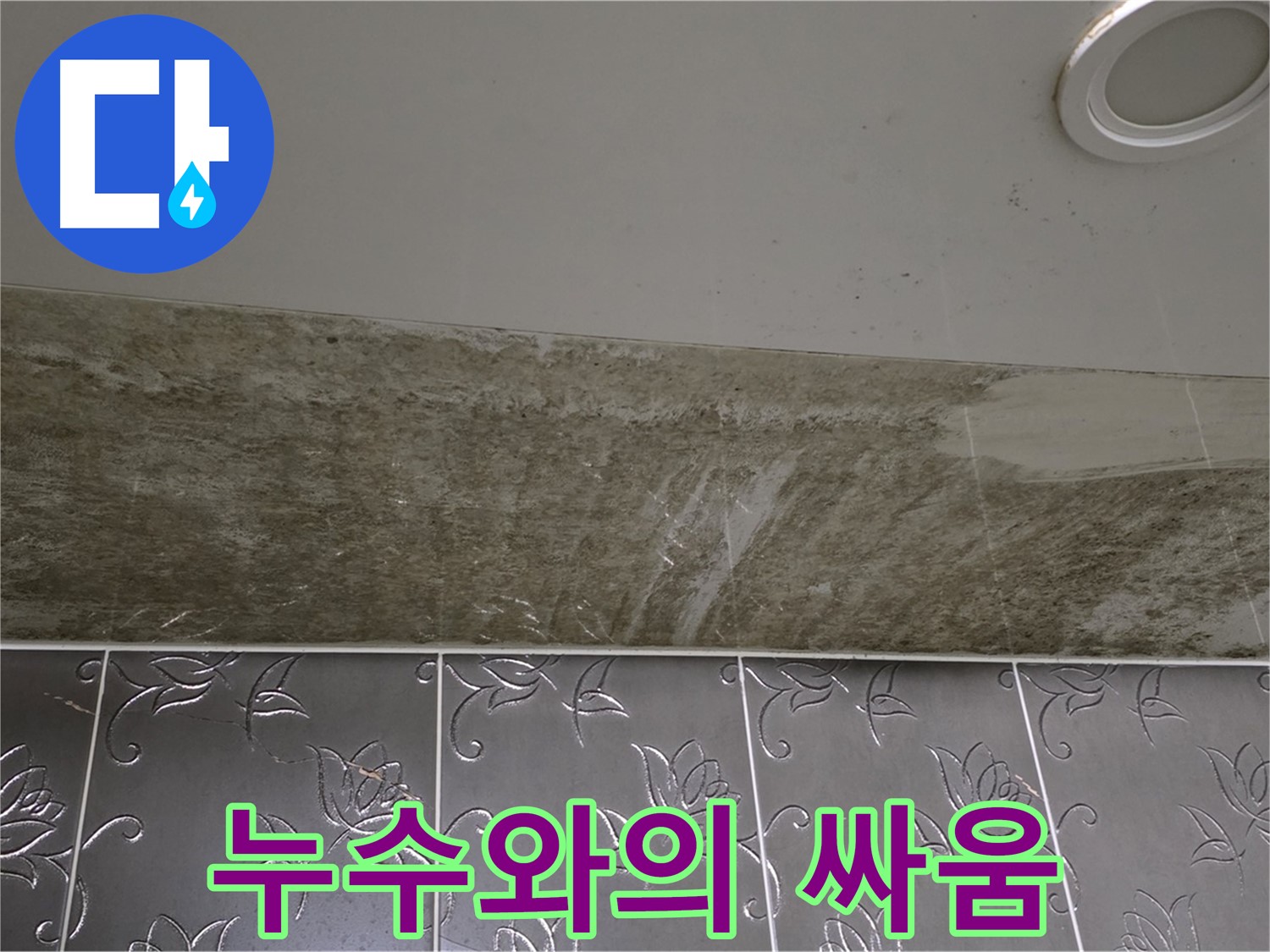곰팡이로 얼룩진 화장실 천장 - 누수와의 싸움을 시작합니다.