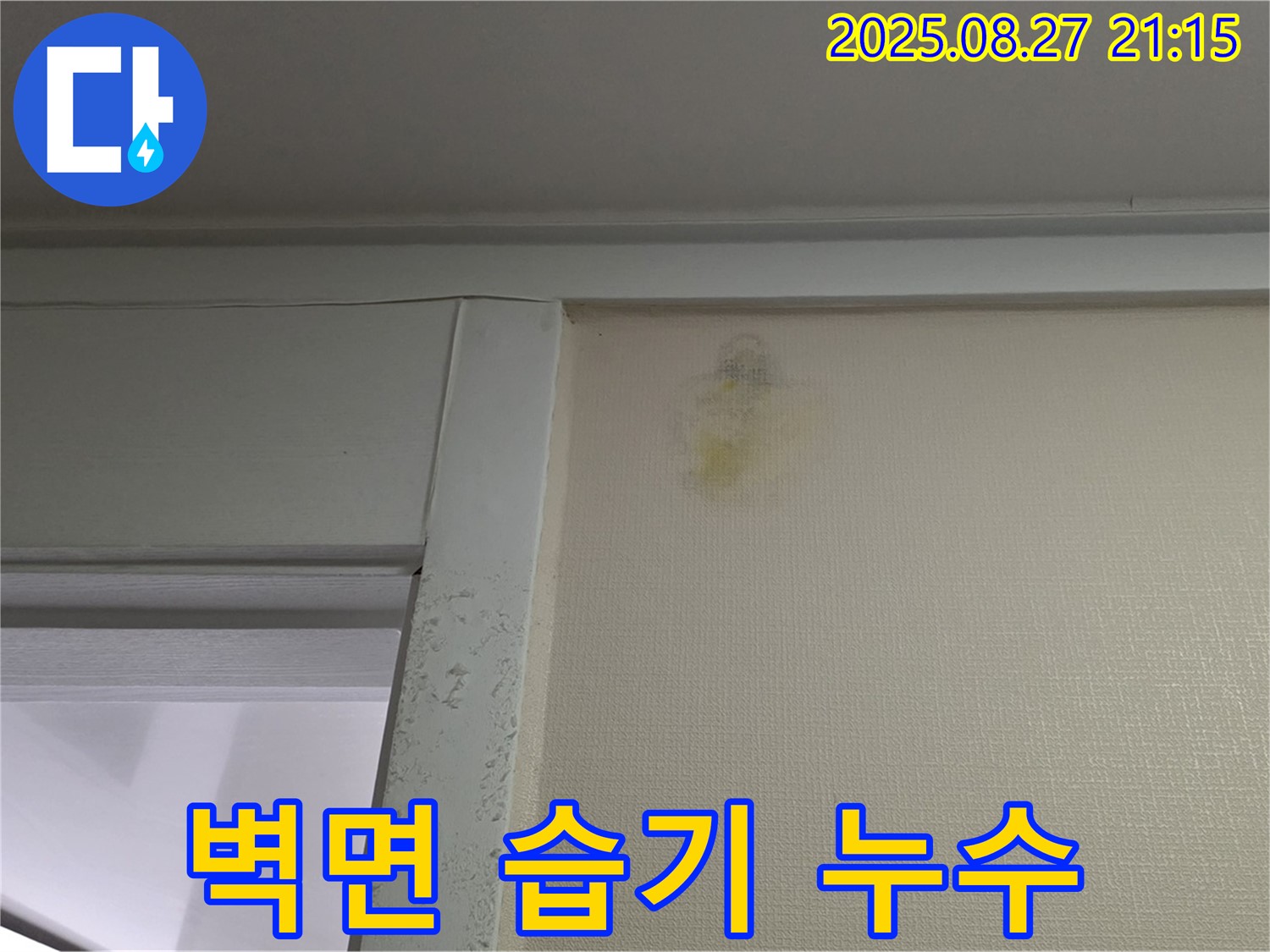 벽면 습기 누수 - 운중동 산운마을 6단지에서 발생한 벽면 습기 누수 현장 사진입니다.