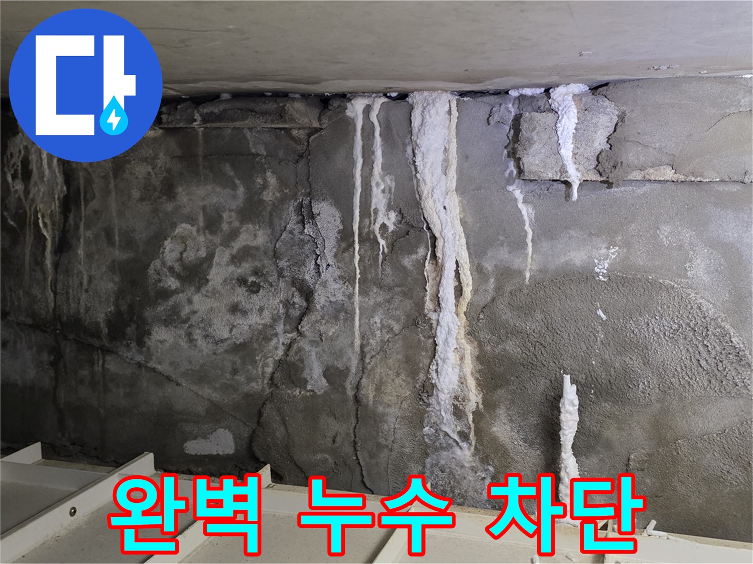 분당 운중동 건물 누수 - 완벽 차단, 쾌적한 공간으로!