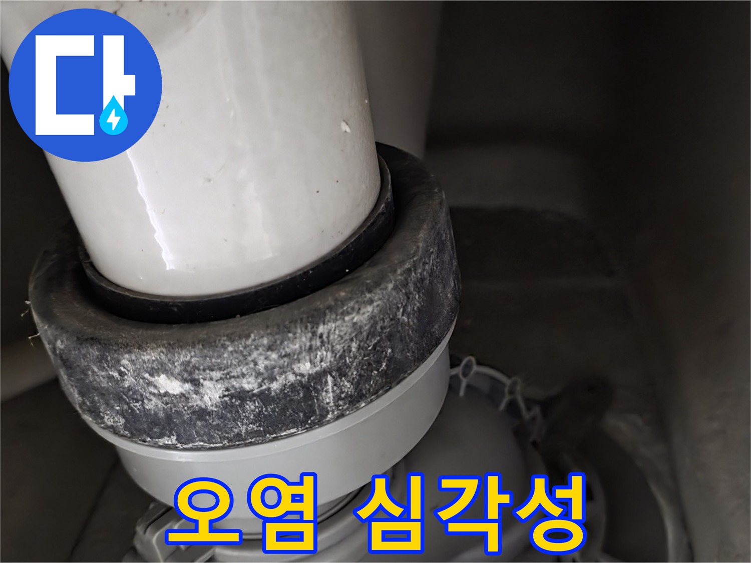 분당 운중동 산운마을 6단지 변기 누수 - 오염의 심각성을 보여주는 사진