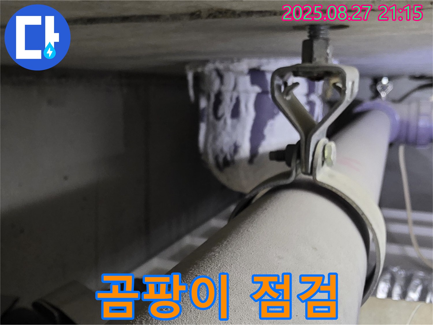 분당 운중동 산운마을 아파트 천장 배관 - 곰팡이 발생 여부 점검 - 건강을 위해 확인하세요.