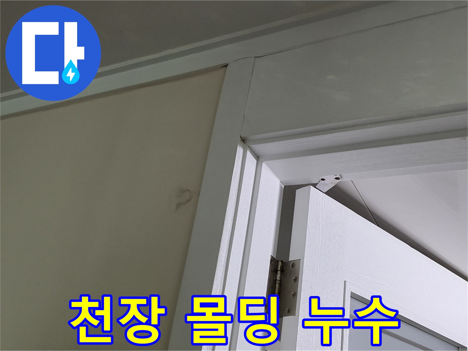 분당 운중동 산운마을 - 천장 몰딩에서 발견된 누수 - 꼼꼼한 점검으로 누수 원인을 파악하고 해결합니다.