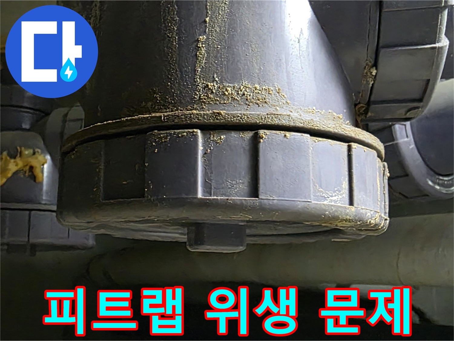 분당 피트랩 누수 - 위생 문제 해결 및 쾌적한 환경 유지