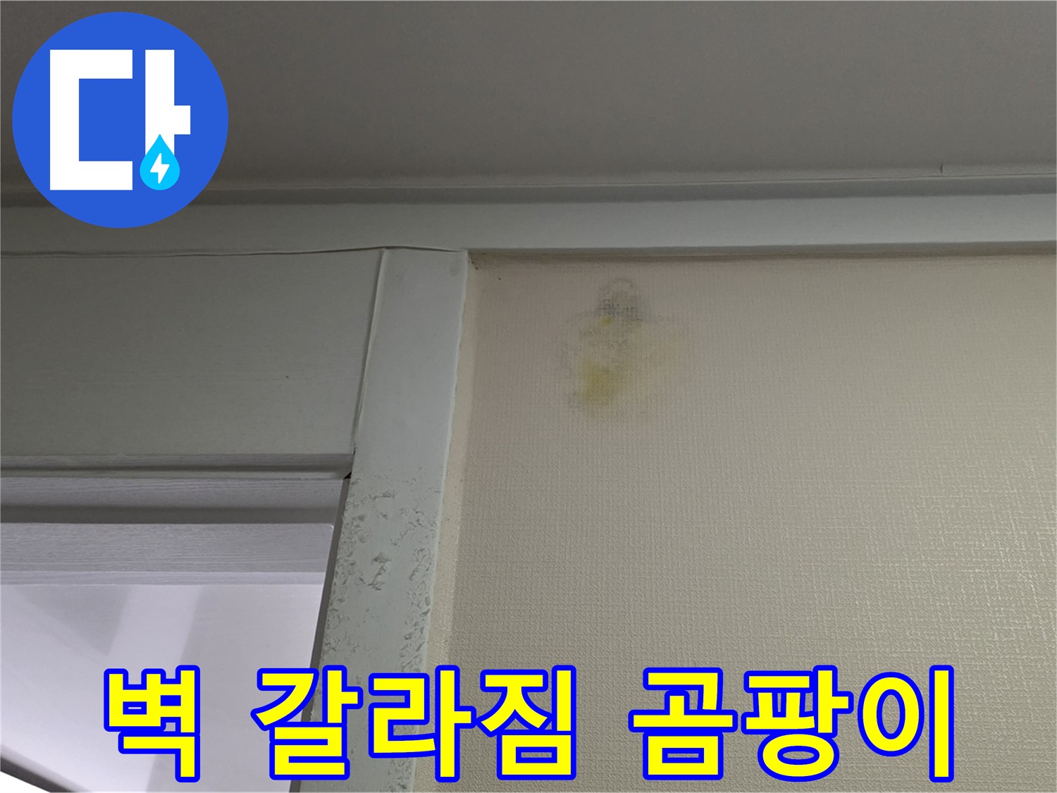 성남 분당 운중동 산운마을 아파트 - 벽 갈라짐, 습기, 곰팡이 누수 초기 의심