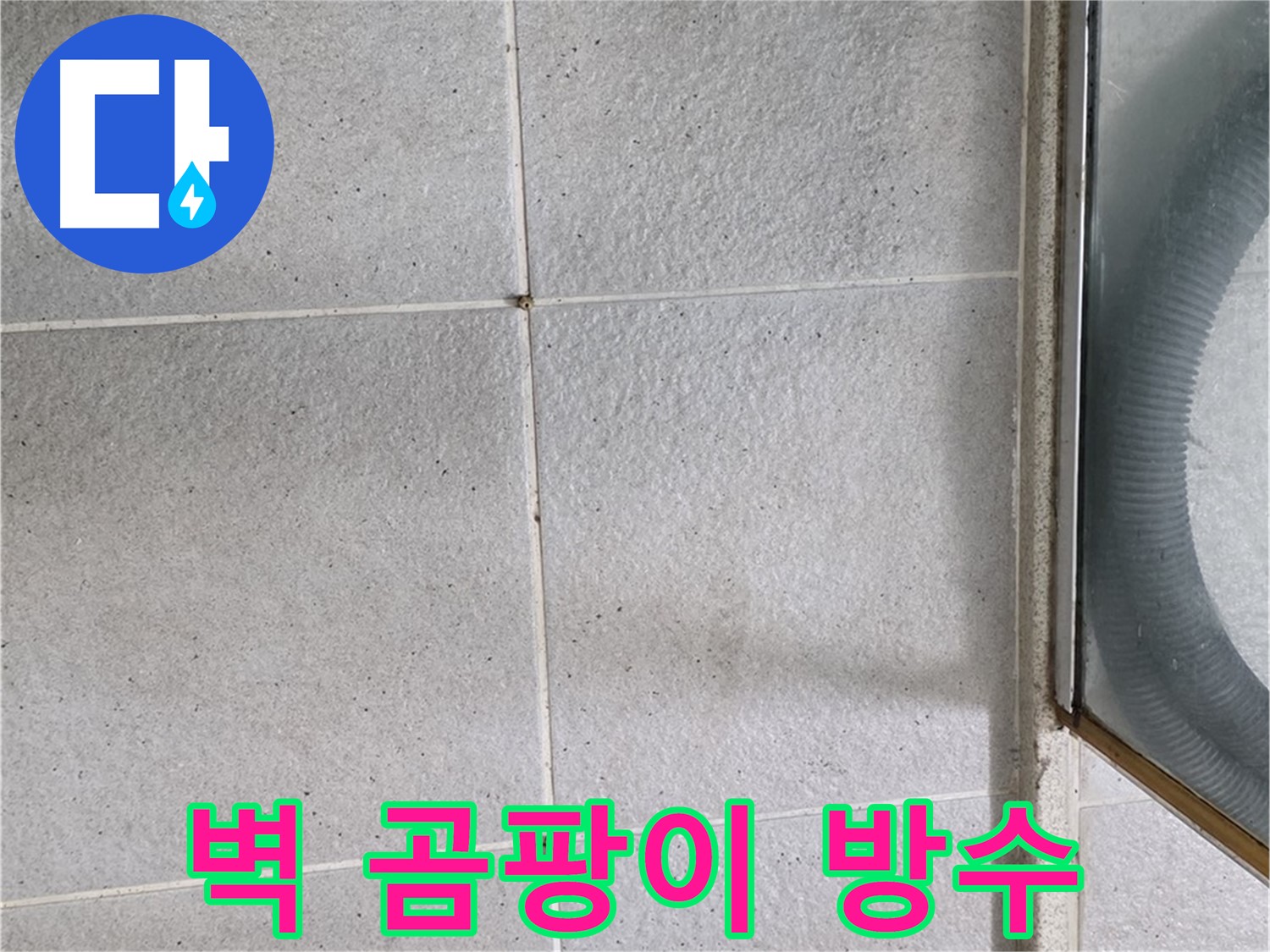 성남 분당 운중동 욕실 벽 - 곰팡이 제거 후 방수 작업으로 누수 걱정 없이 쾌적하게.