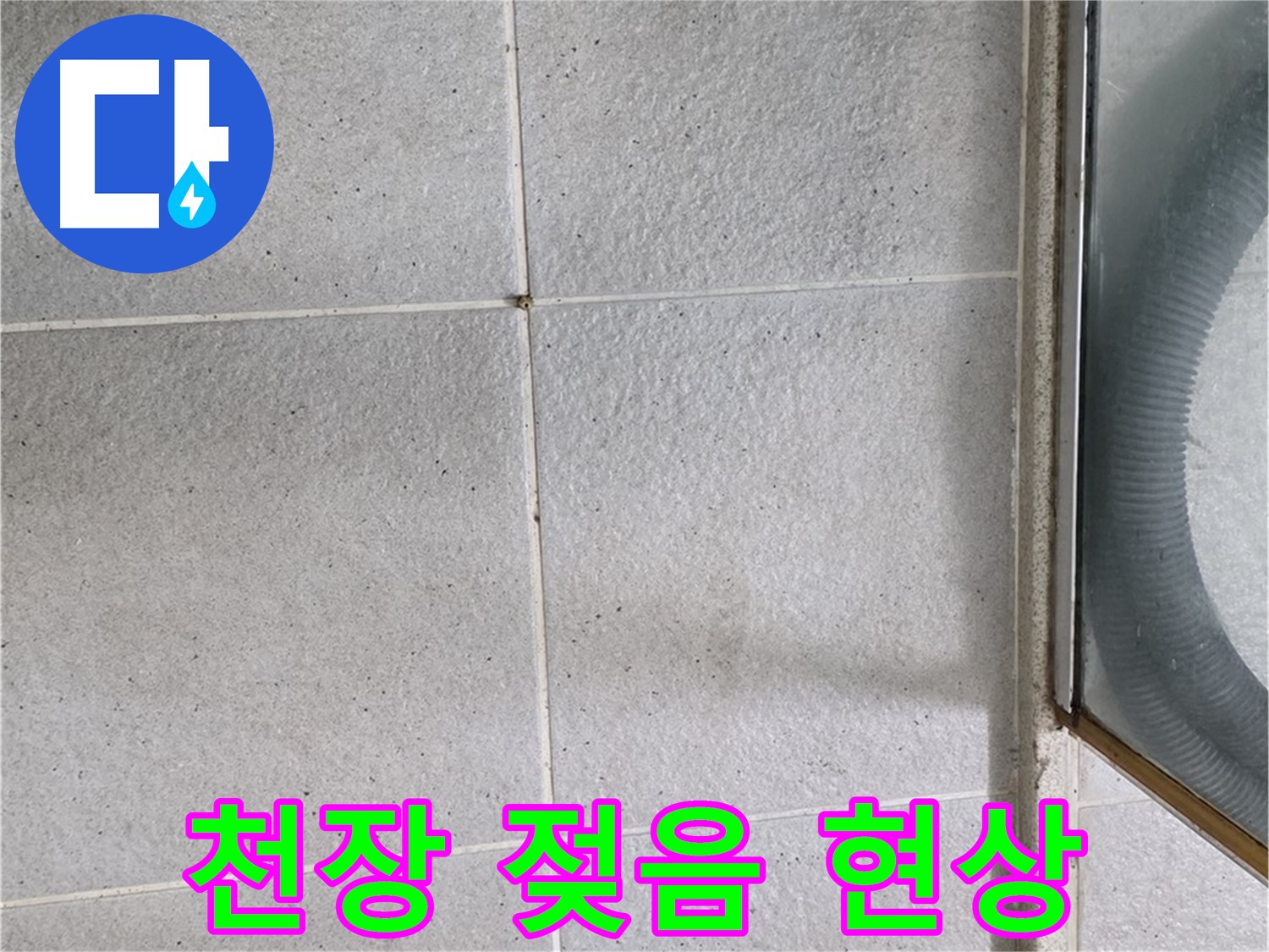 성남 분당 운중동 욕실 천장 석고보드 젖음 - 천장 석고보드가 젖어 있는 것으로 보아 윗집에서 누수가 있을 수 있습니다.