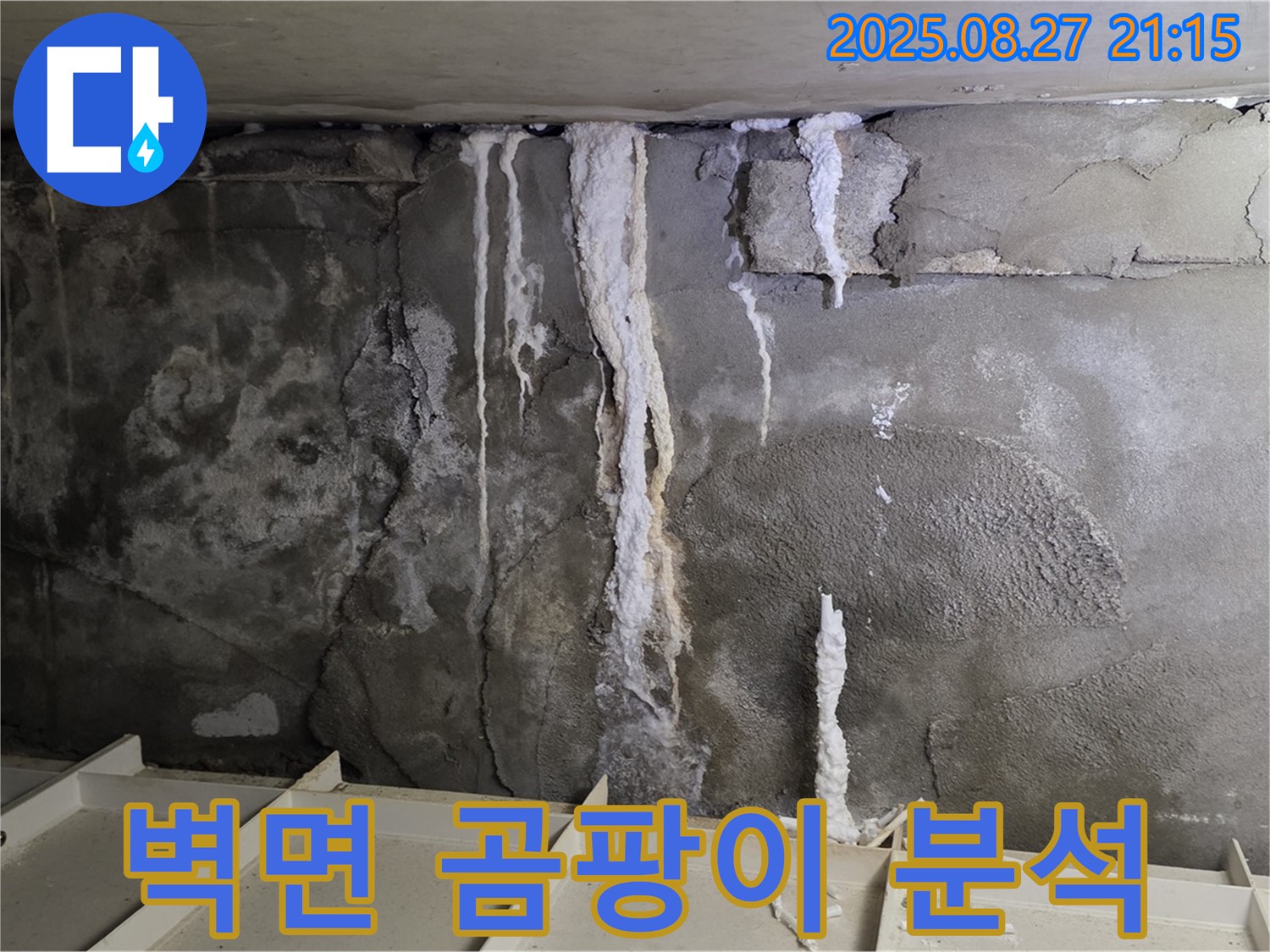 운중동 산운로 주차장 벽면 - 곰팡이와 백화현상의 원인을 완벽하게 분석하고, 맞춤 시공으로 해결하는 과정을 담았습니다.