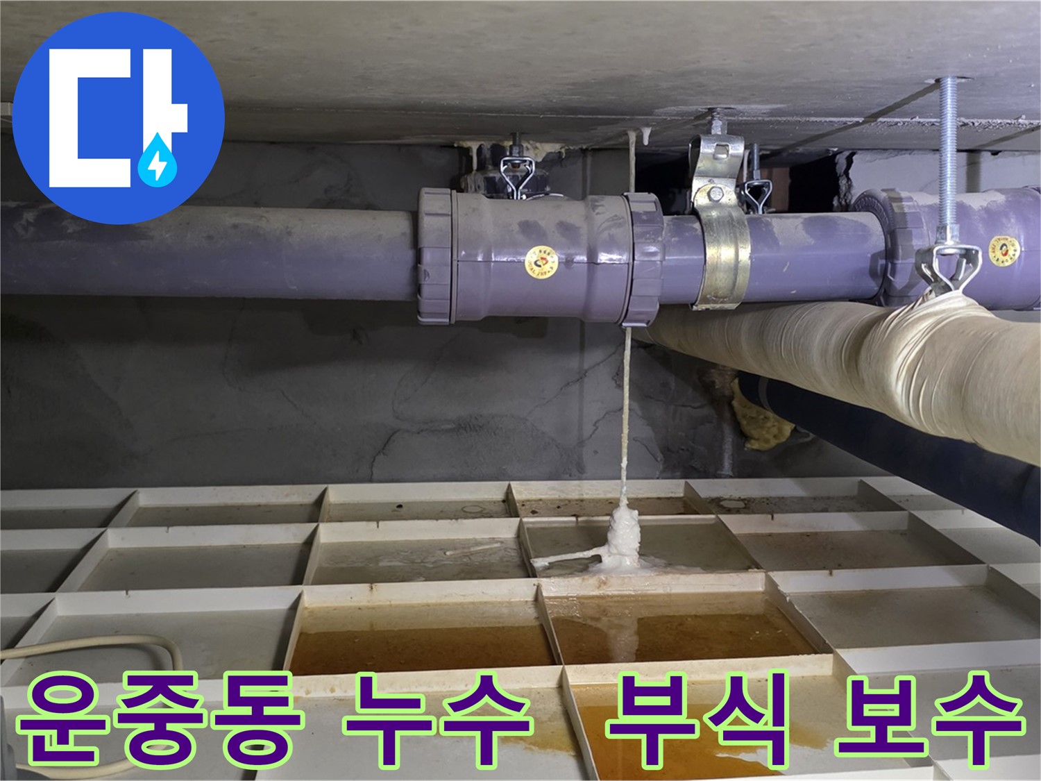 운중동 수도 누수 - 연결 부위 부식, 누수 탐지 후 완벽 보수