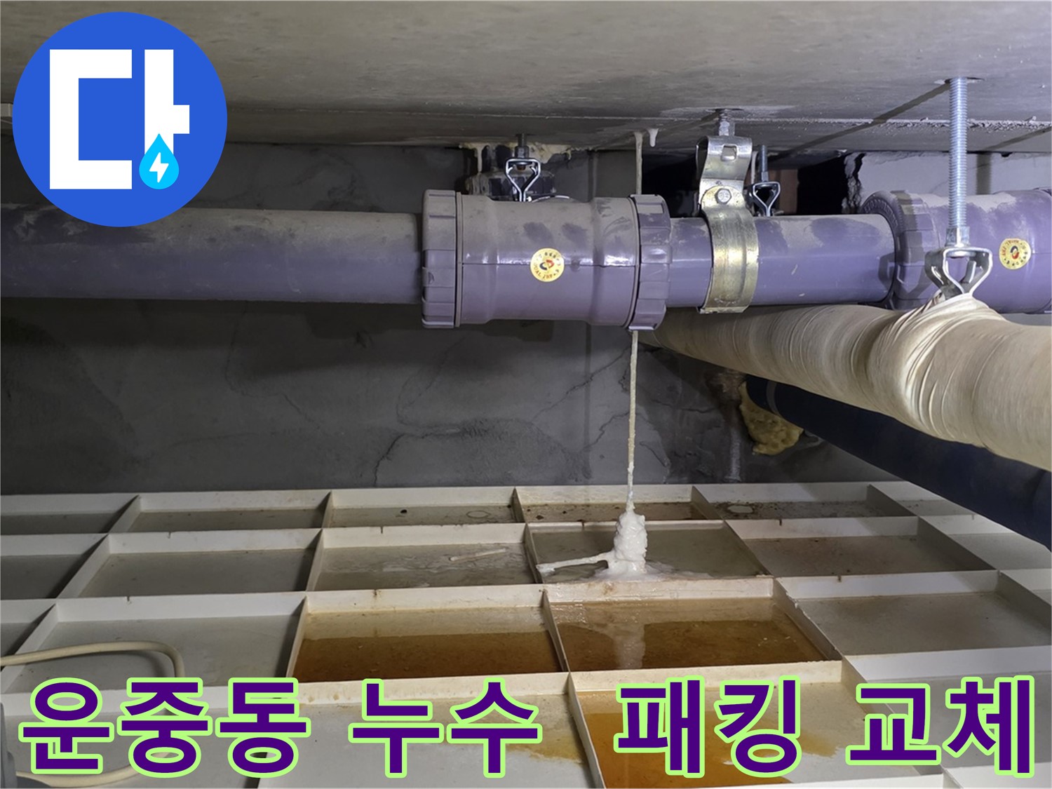 운중동 오수 배관 누수 - 연결 부위 고무 패킹 손상, 누수 탐지 후 교체
