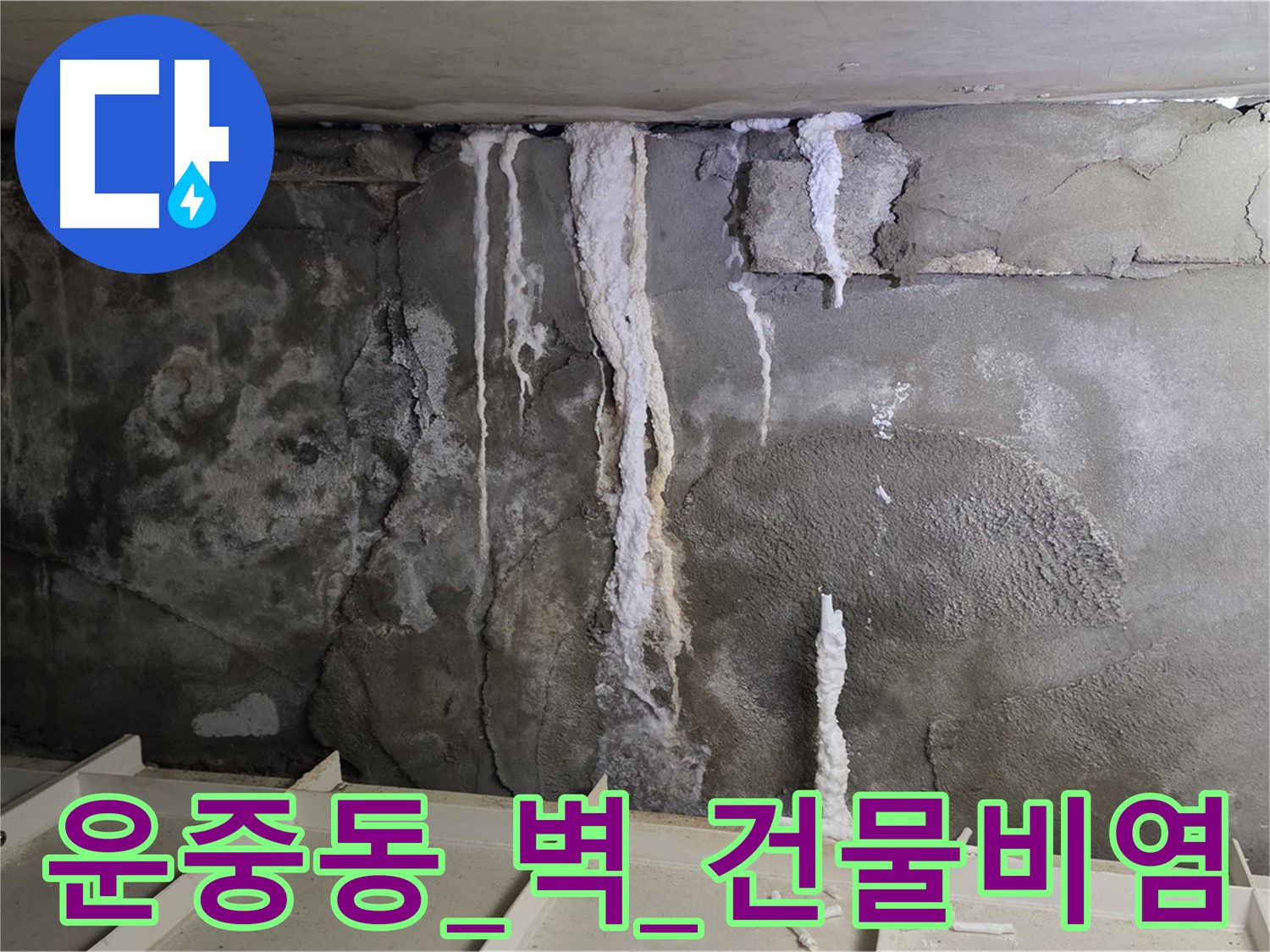 운중동 콘크리트 벽 - 석회수 콧물, 건물 비염