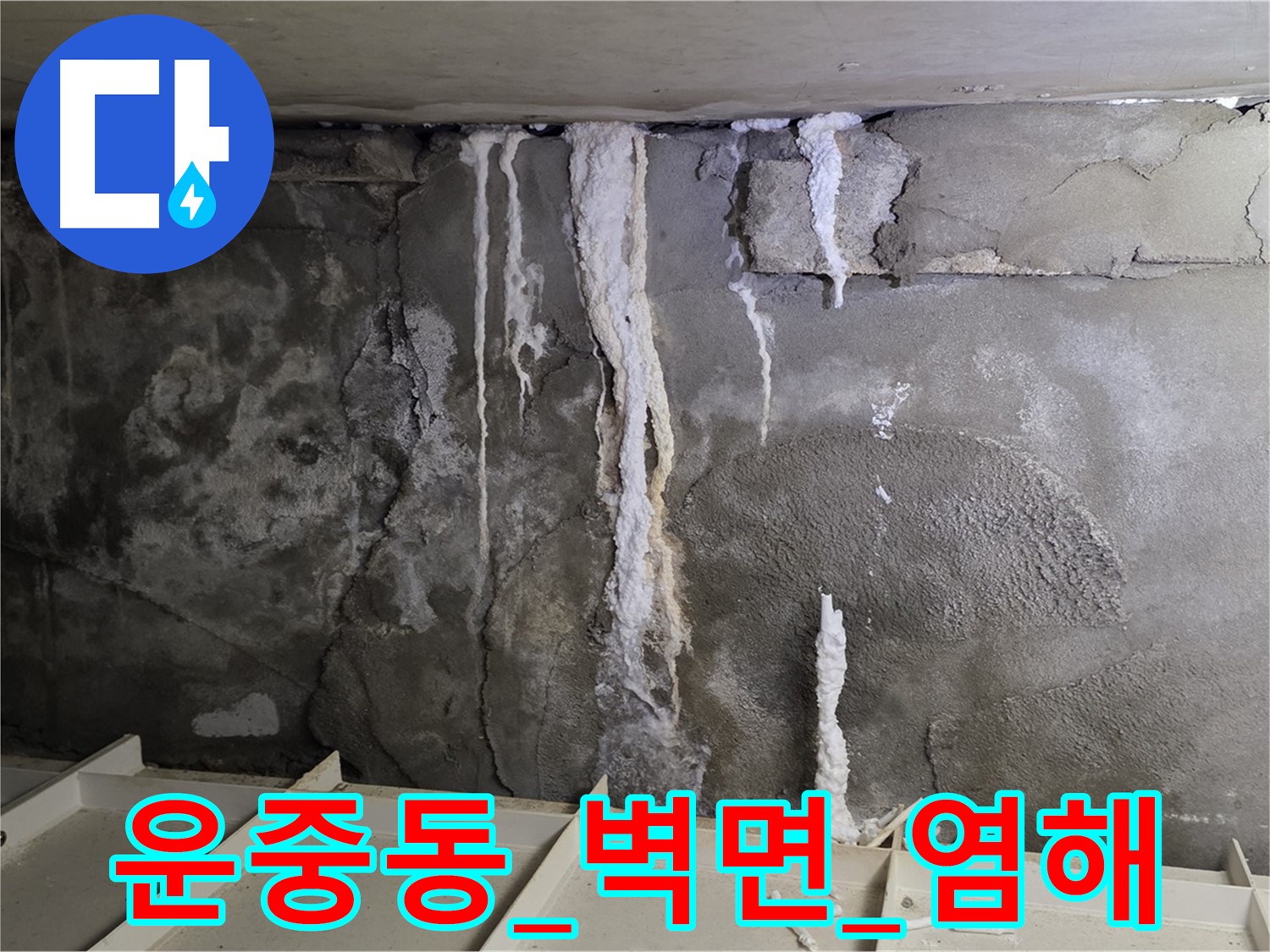 운중동 콘크리트 벽면 - 염해로 철근 부식 심각성 진단