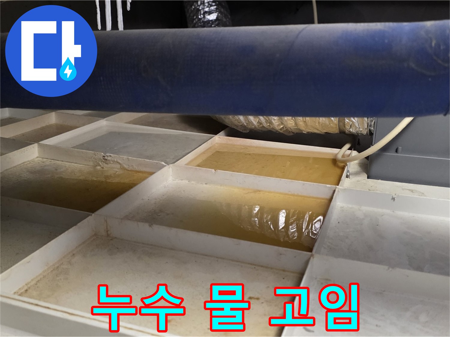 천장 누수로 인해 물이 고여 있는 모습 - 정확한 누수 지점 파악 및 근본적인 해결책 제시