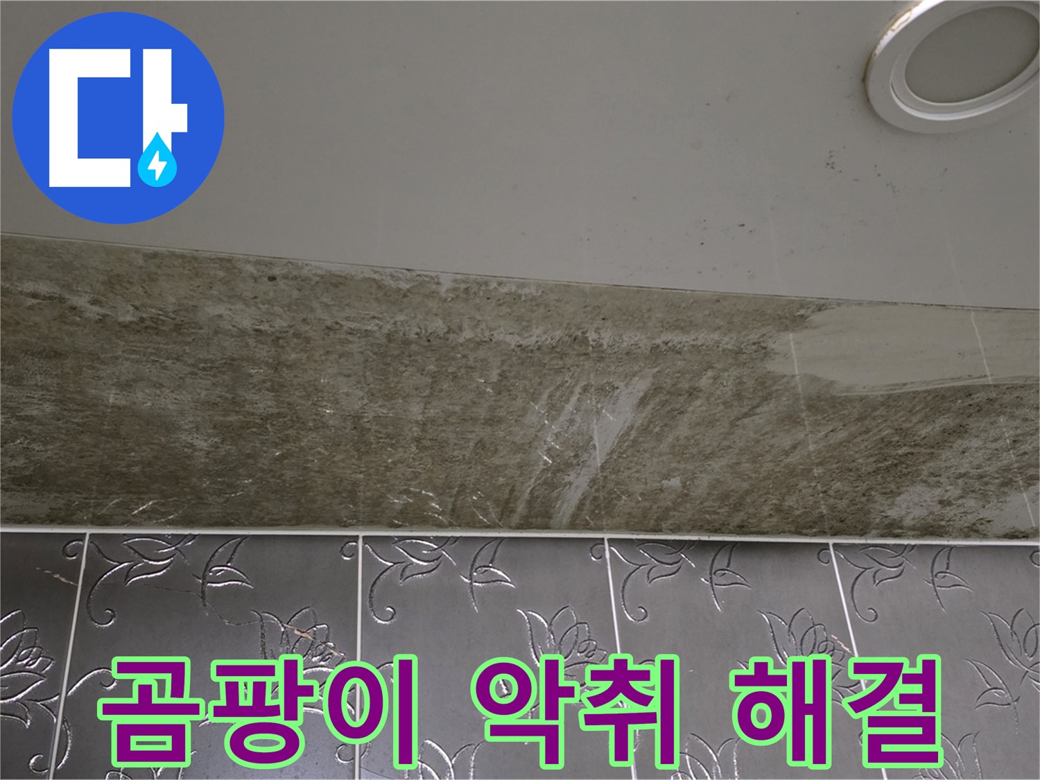 화장실 천장 누수 - 곰팡이와 악취, 한번에 해결