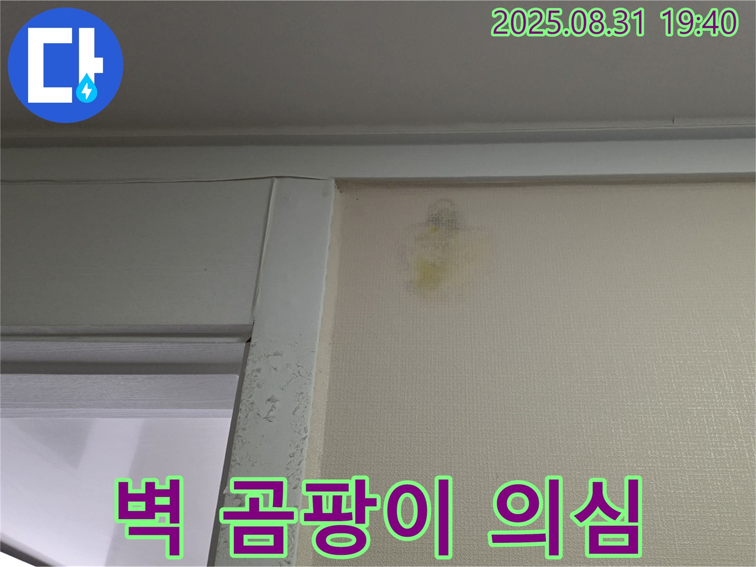 벽 곰팡이 발생 - 분당구 산운동 누수 의심