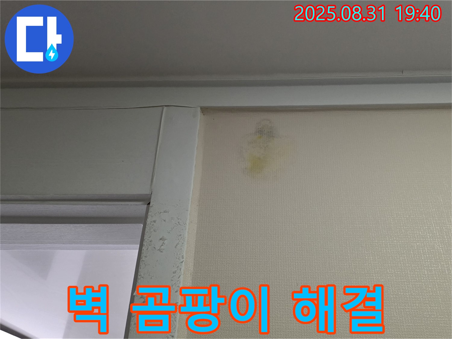 벽 곰팡이 해결 - 성남 분당구 산운로 누수