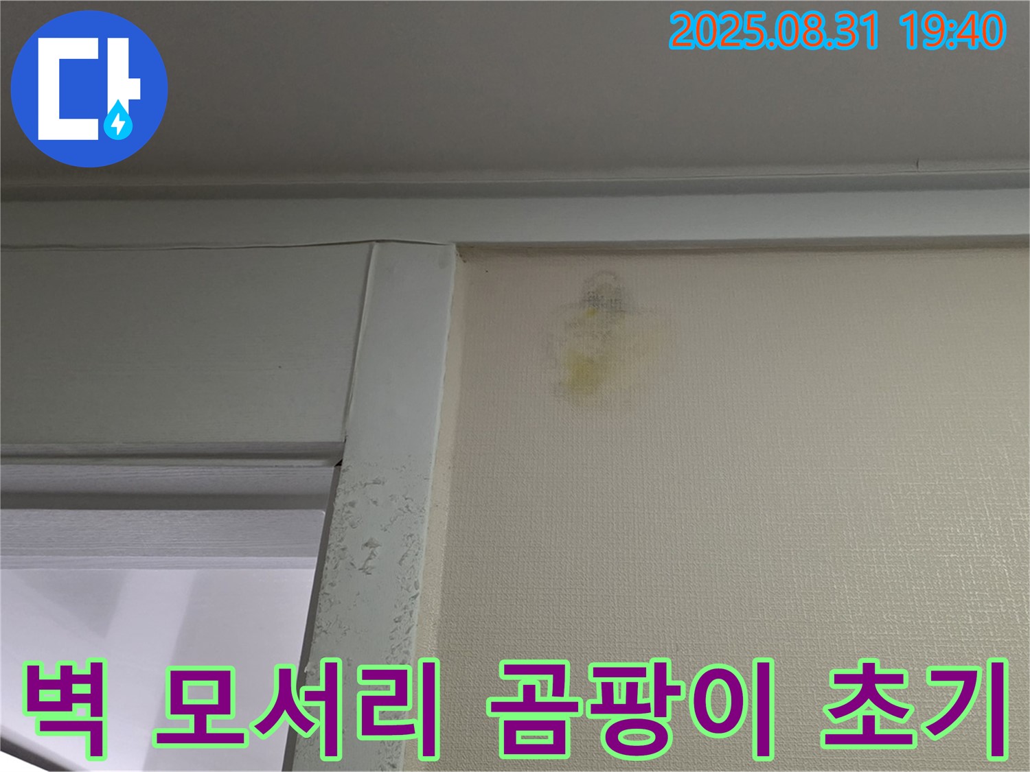 벽 모서리 곰팡이 초기 증상 - 분당구 산운동 누수 의심