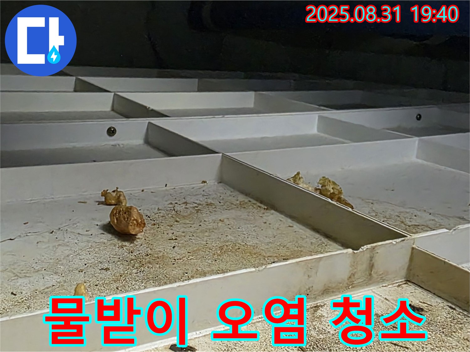 분당 산운로 누수 - 천장 SMC 물받이 오염 심각 - 긴급 청소 작업 진행