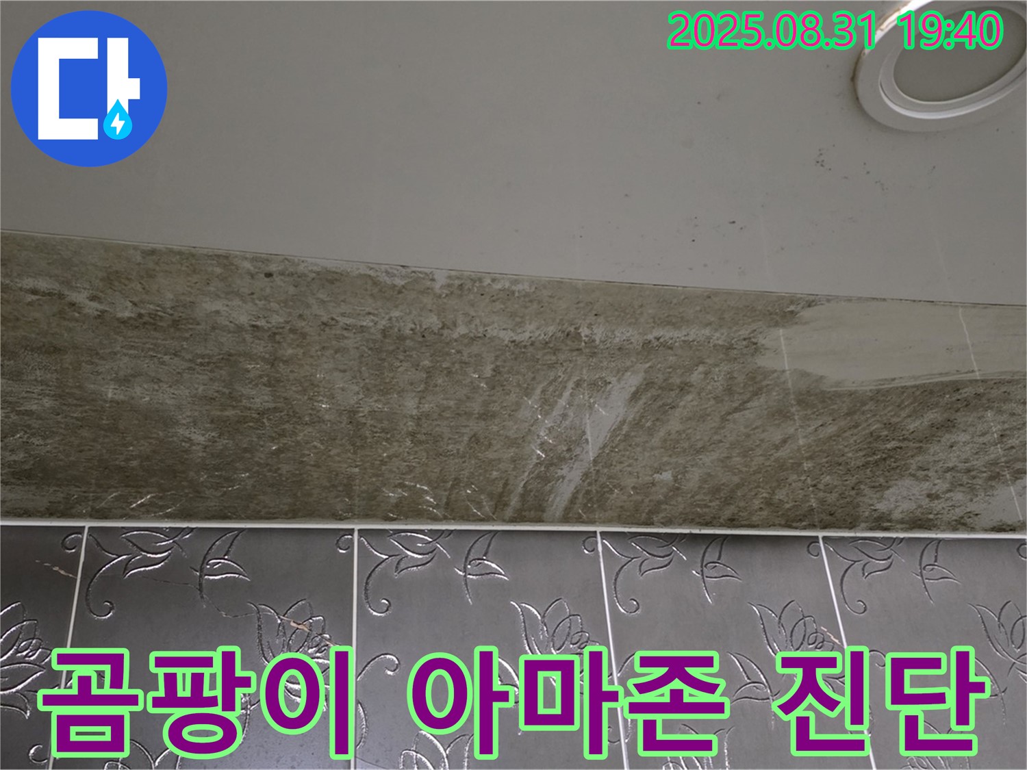 분당 운중동 욕실 천장 누수 - 곰팡이가 아마존처럼 핀 누수, 긴급 진단!