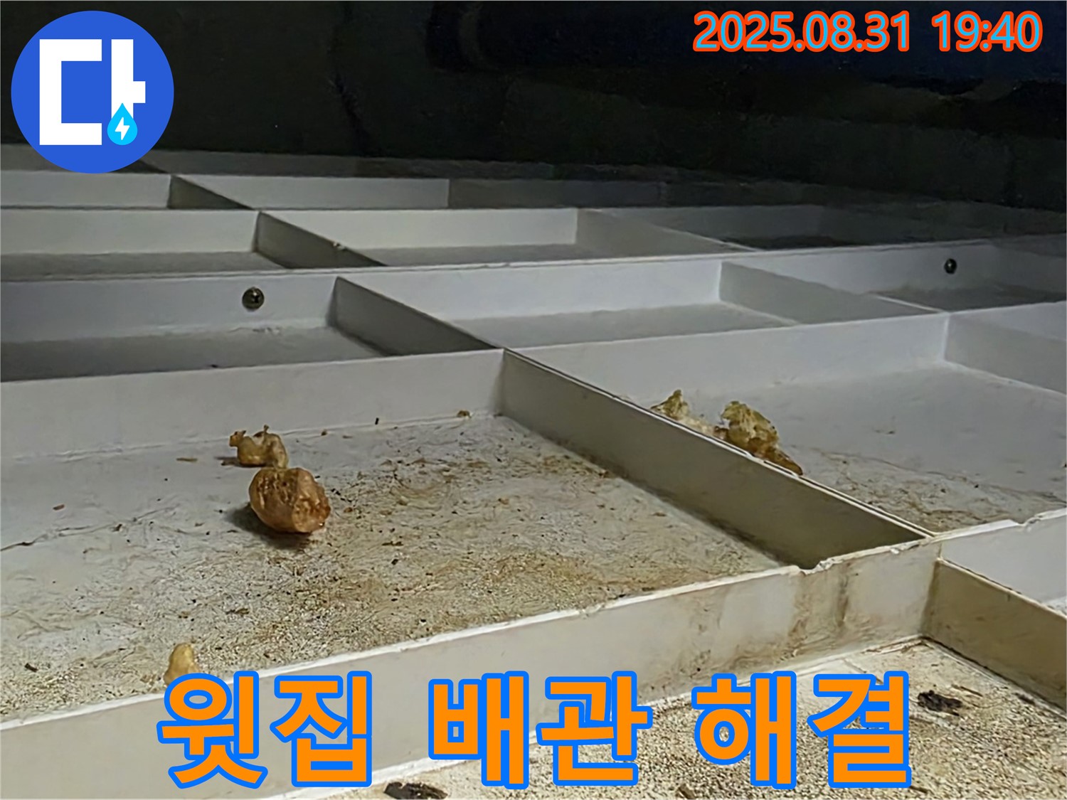 분당 이매동 누수 - 윗집 배관 문제 해결로 누수 해결