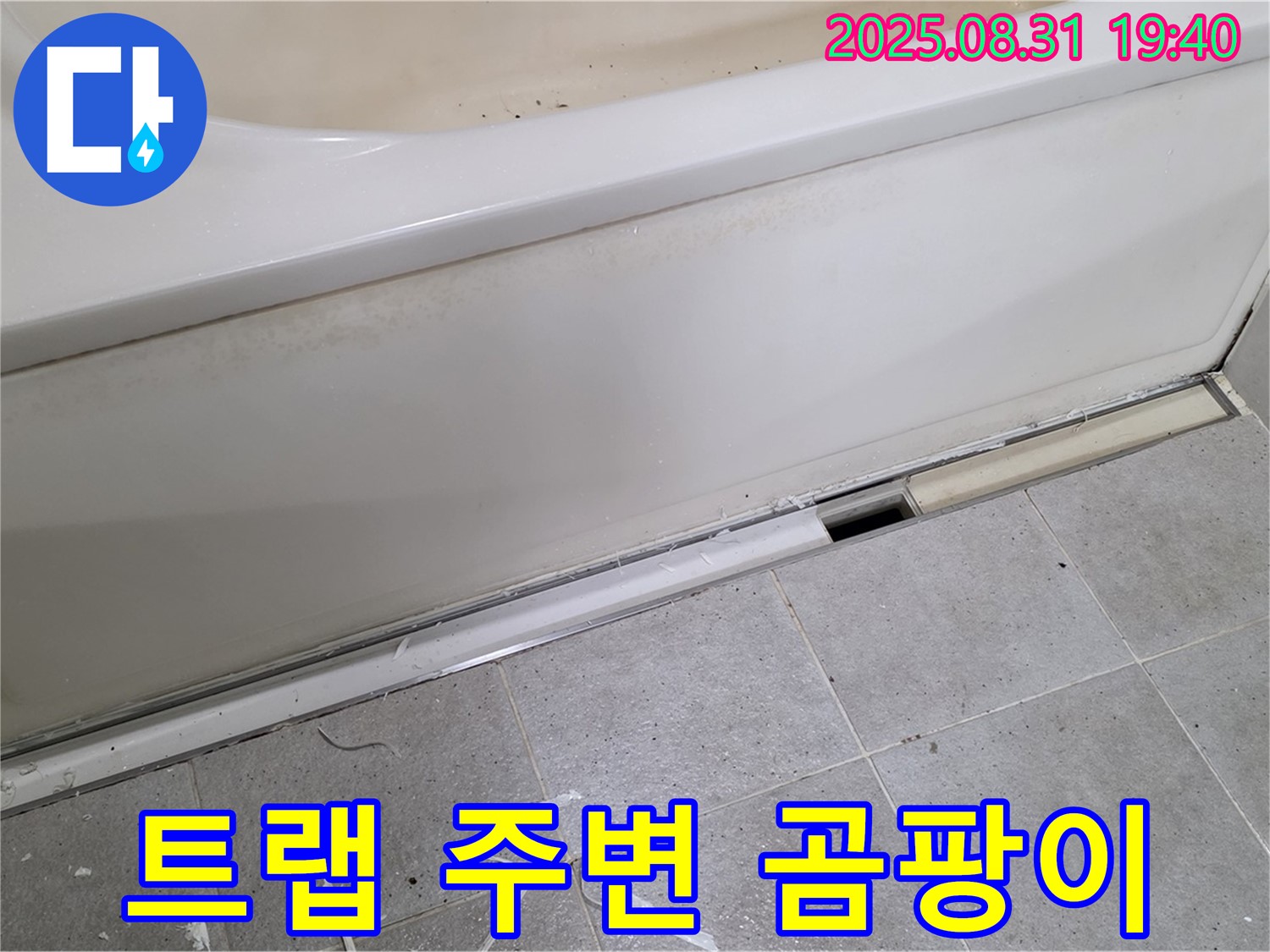 분당 정자동 욕조 누수 - 배수 트랩 주변 물때와 곰팡이