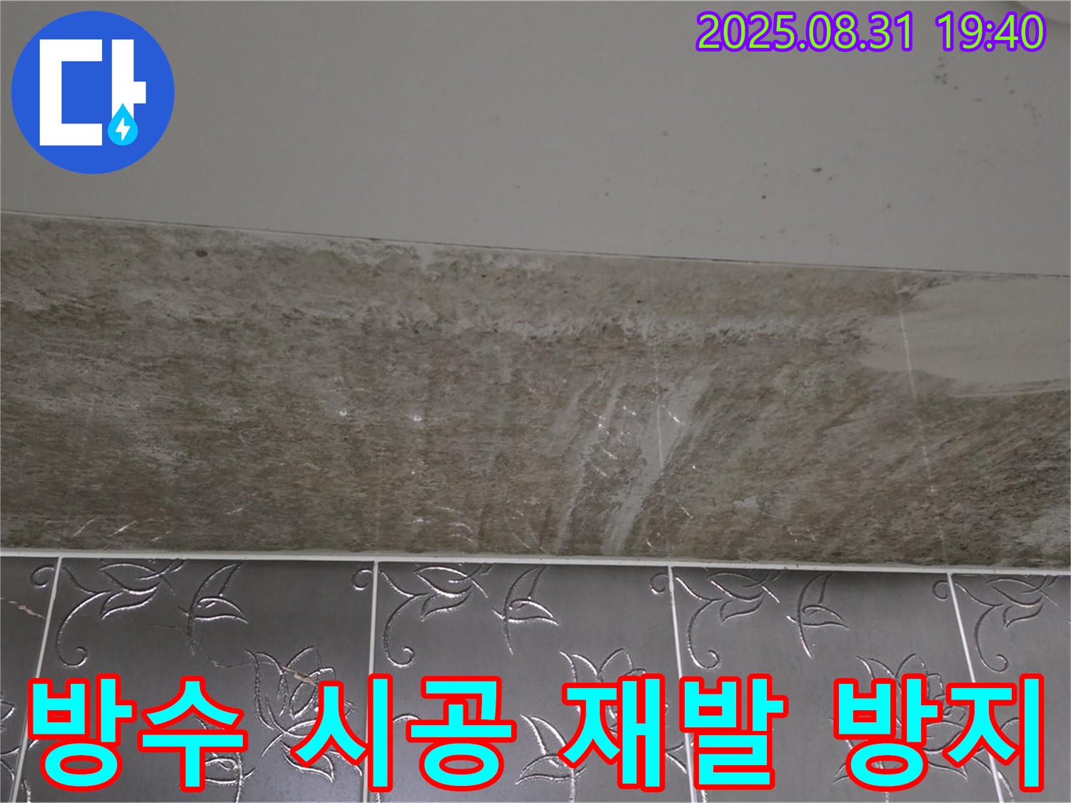 분당구 산운동 욕실 곰팡이 - 곰팡이 제거 완벽 방수 시공 재발 방지