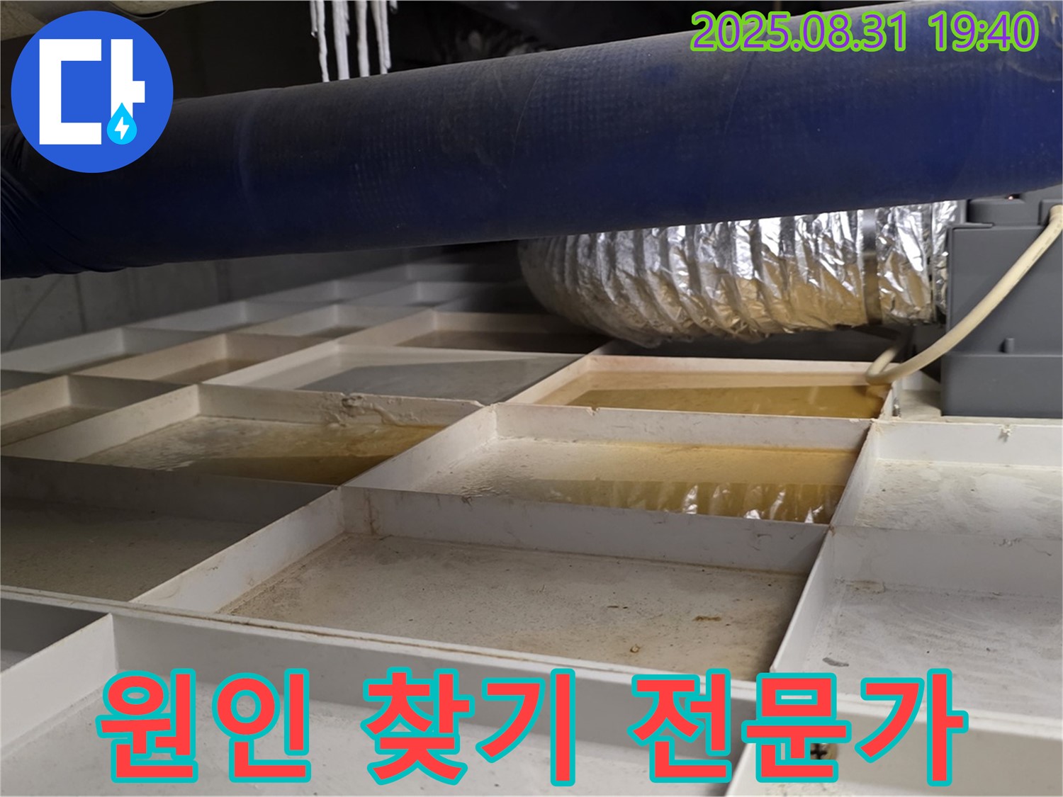 분당구 산운로 건물 지하 누수 - 누수 원인 찾기 전문가가 해결