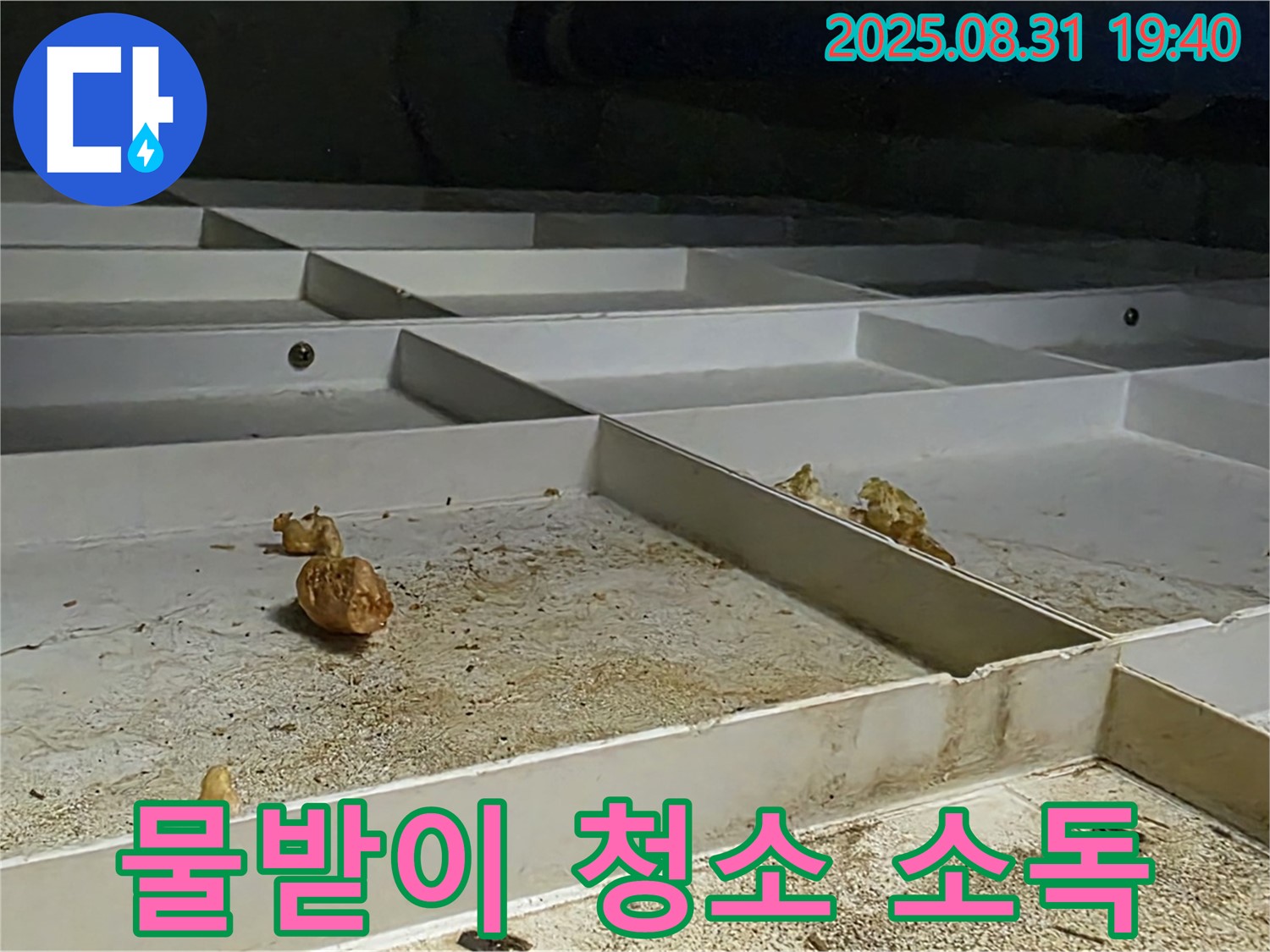분당구 산운로 누수 - 천장 SMC 물받이 청소 후 살균 소독까지 완벽하게