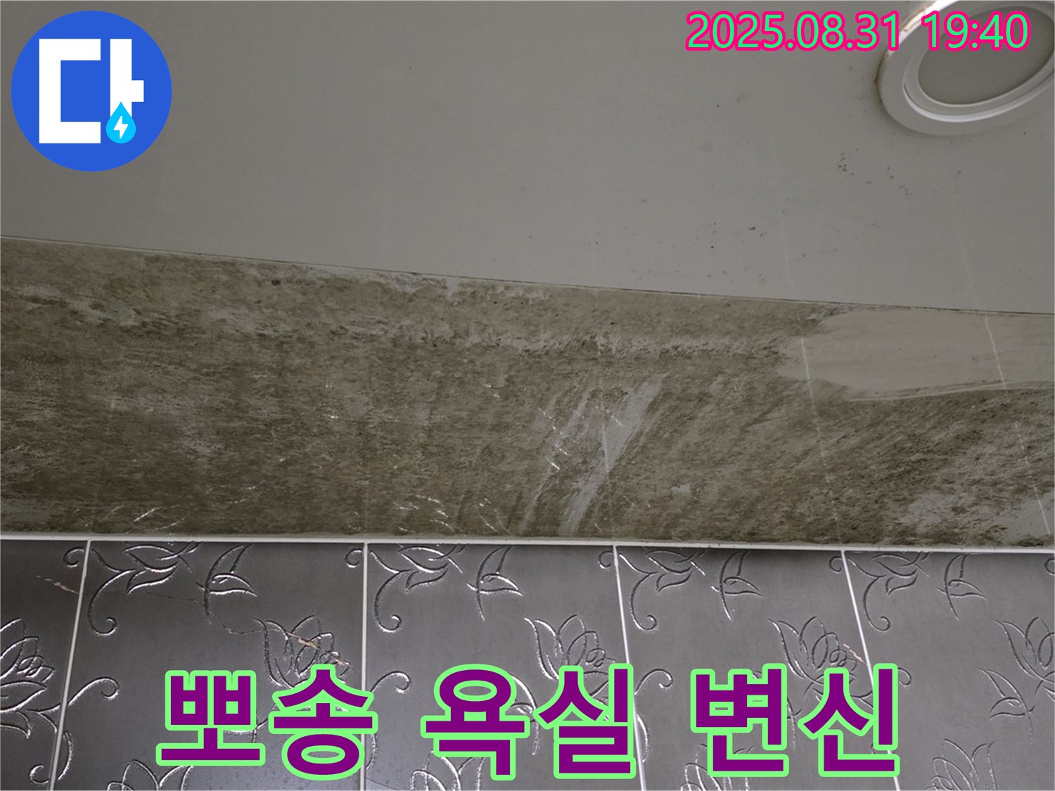 분당구 운중동 욕실 천장 누수 - 곰팡이 완벽 제거하고 뽀송뽀송한 욕실로 변신!