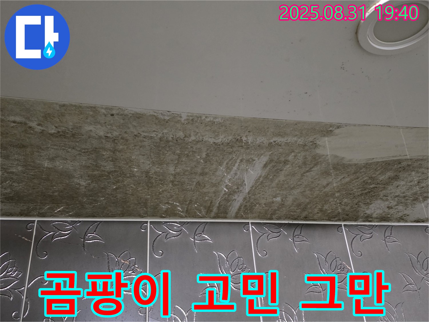 분당구 정자동 욕실 천장 누수 - 곰팡이로 뒤덮인 누수, 더 이상 고민은 이제 그만!
