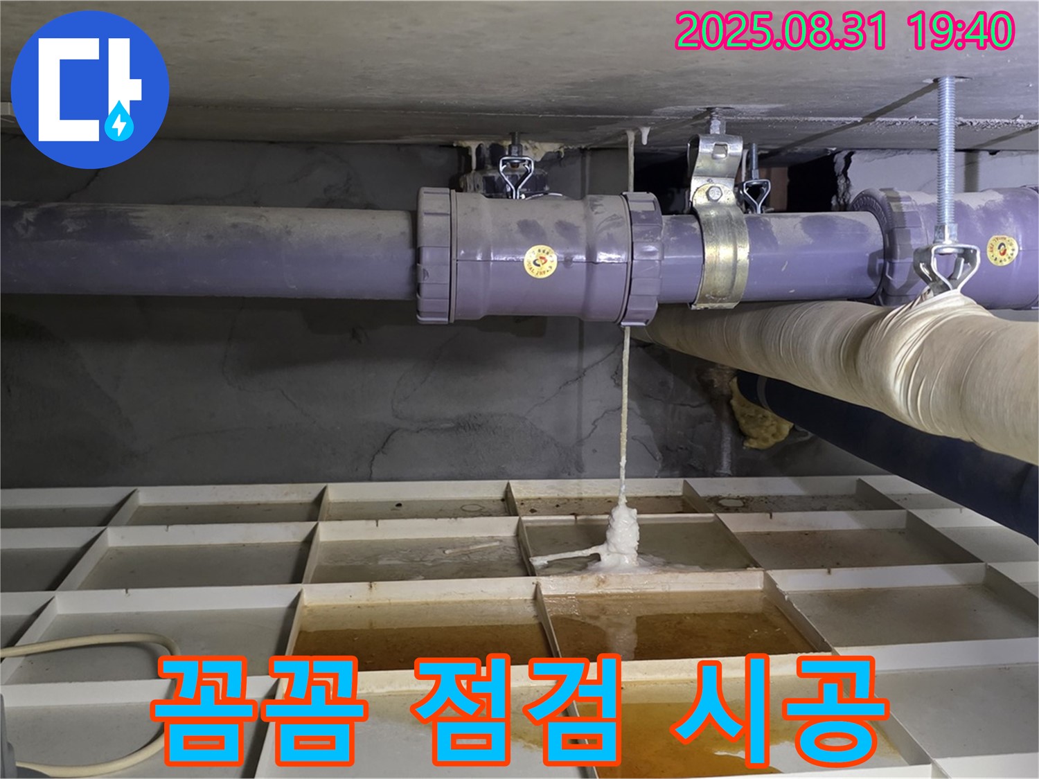 성남시 분당구 누수 - 꼼꼼한 점검과 확실한 시공으로 누수 해결