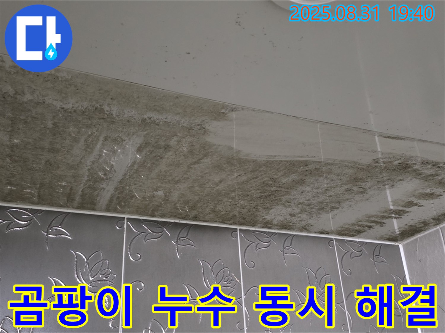 성남시 분당구 산운동 아파트 - 곰팡이 누수 동시 해결