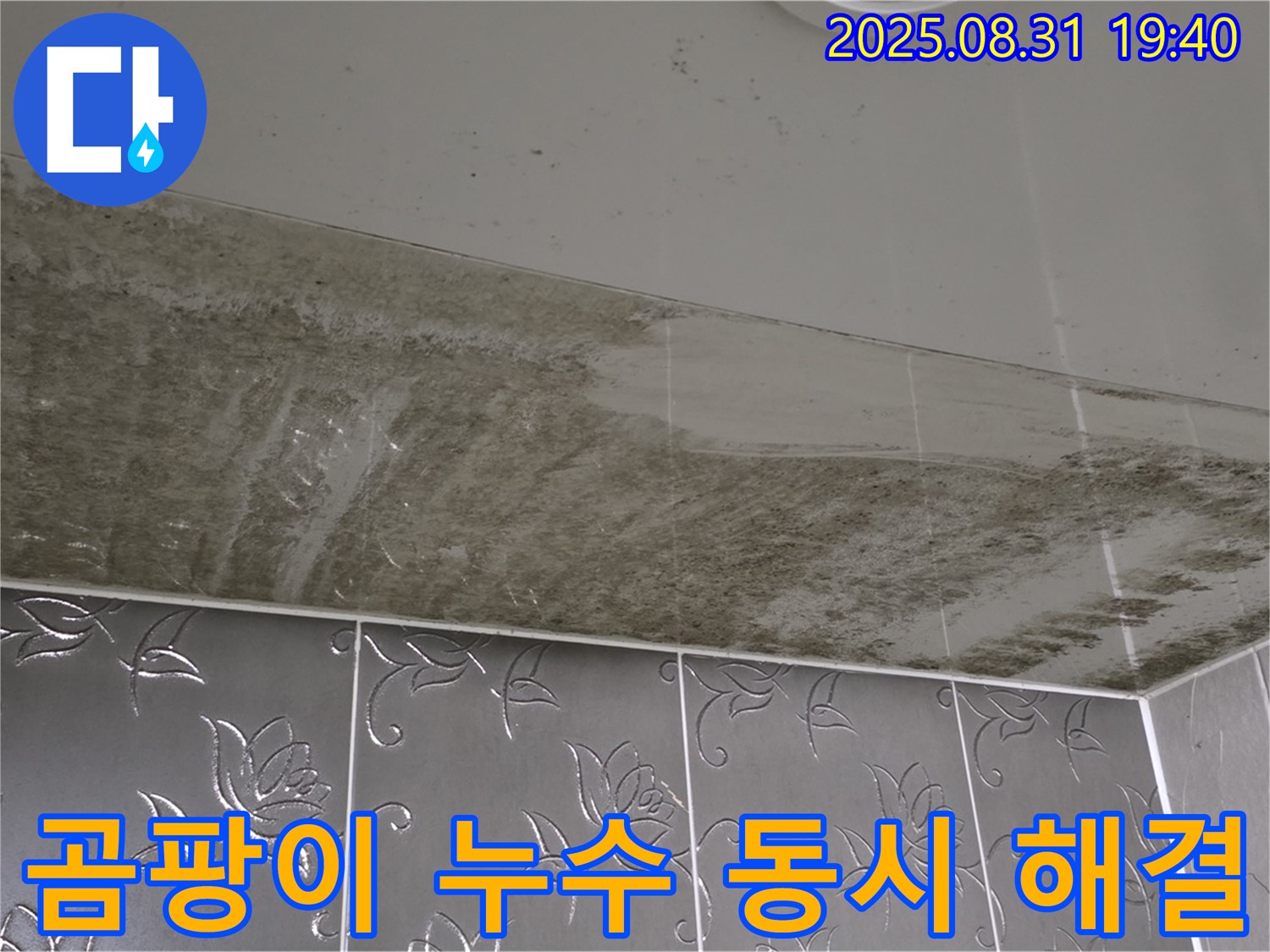 성남시 분당구 산운로 - 곰팡이 누수 동시 해결로 쾌적하게