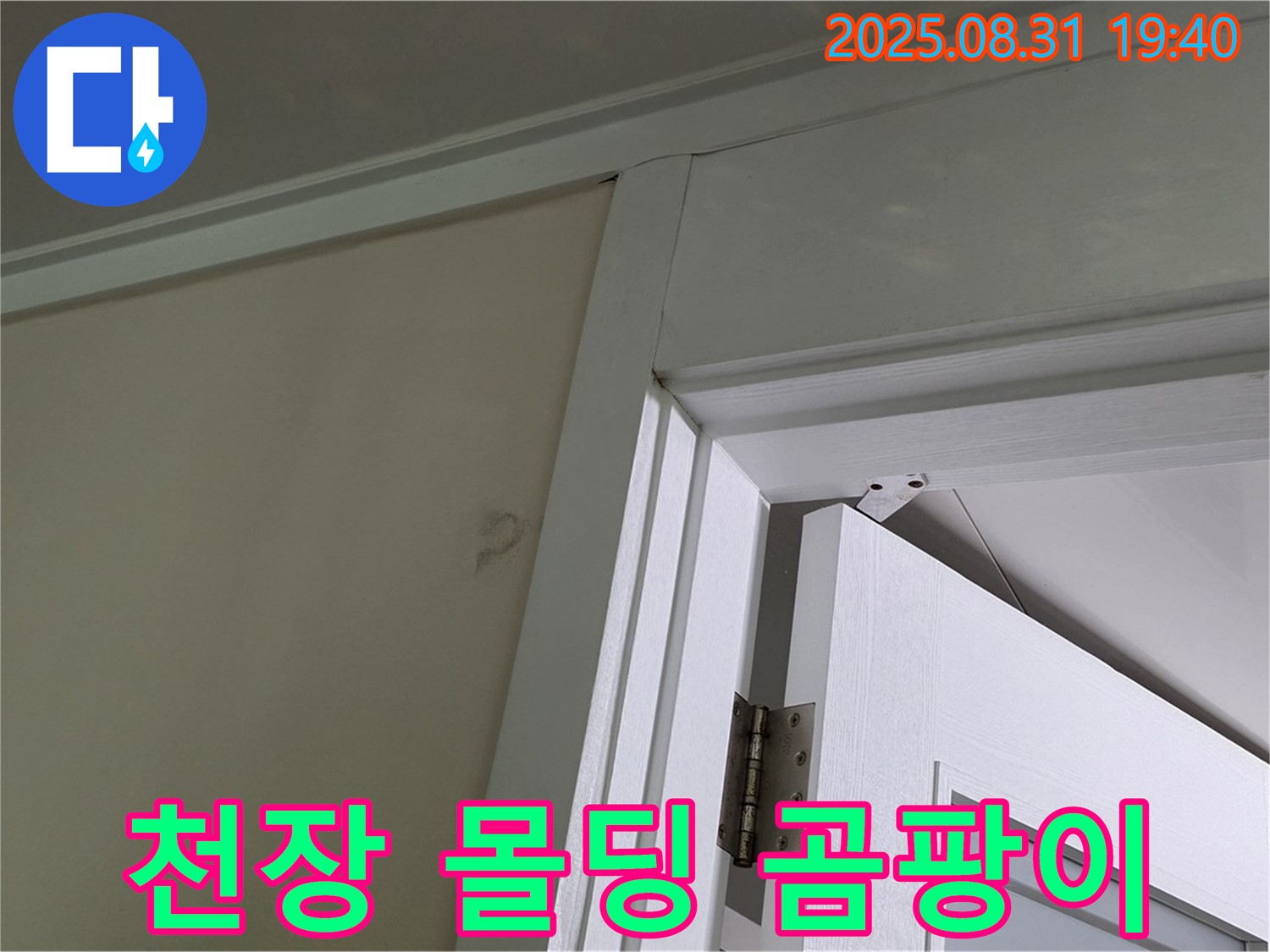 천장 몰딩 곰팡이 - 천장 몰딩에 곰팡이가 발생했습니다.