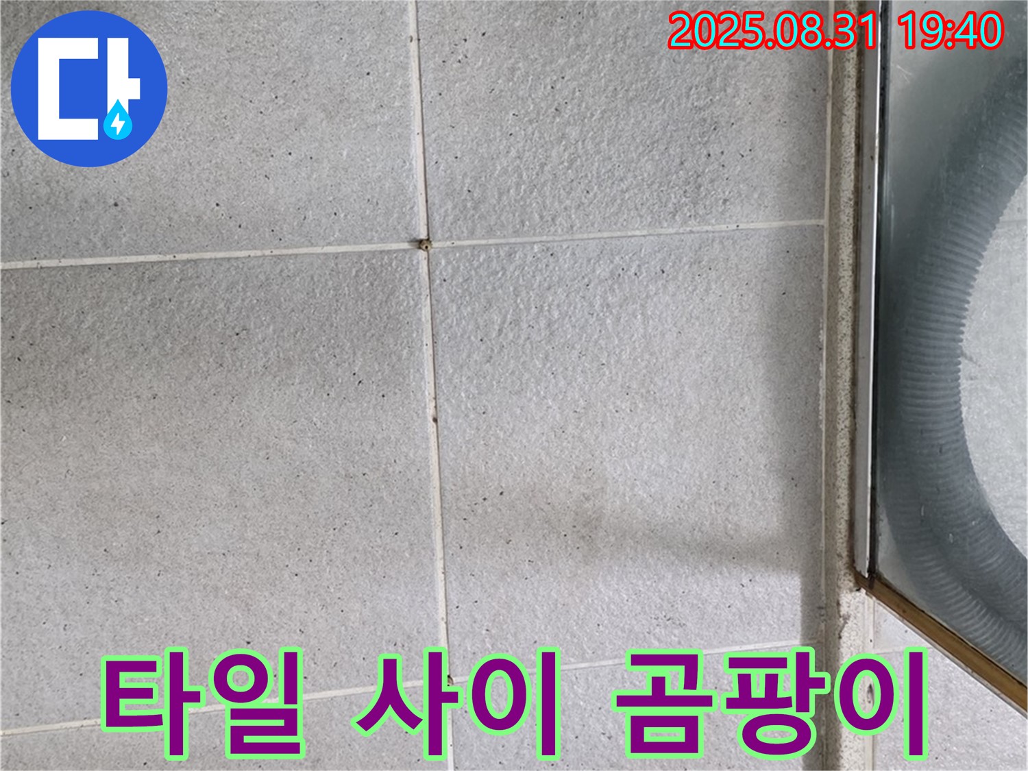 타일 사이 곰팡이 - 누수와 곰팡이, 한번에 해결!