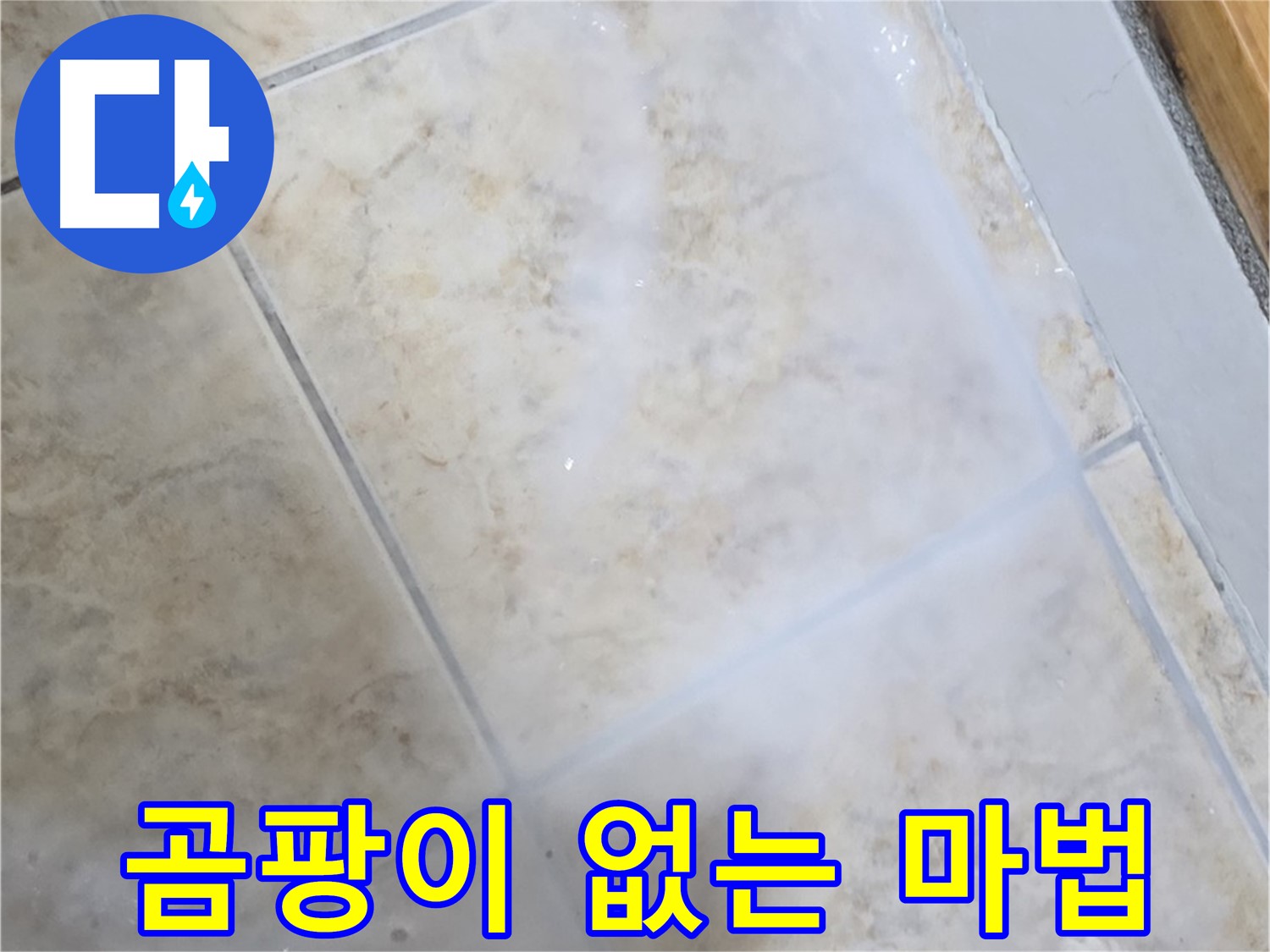 곰팡이 걱정 없이 - 깨끗하고 쾌적한 - 공간으로 변신하는 마법!