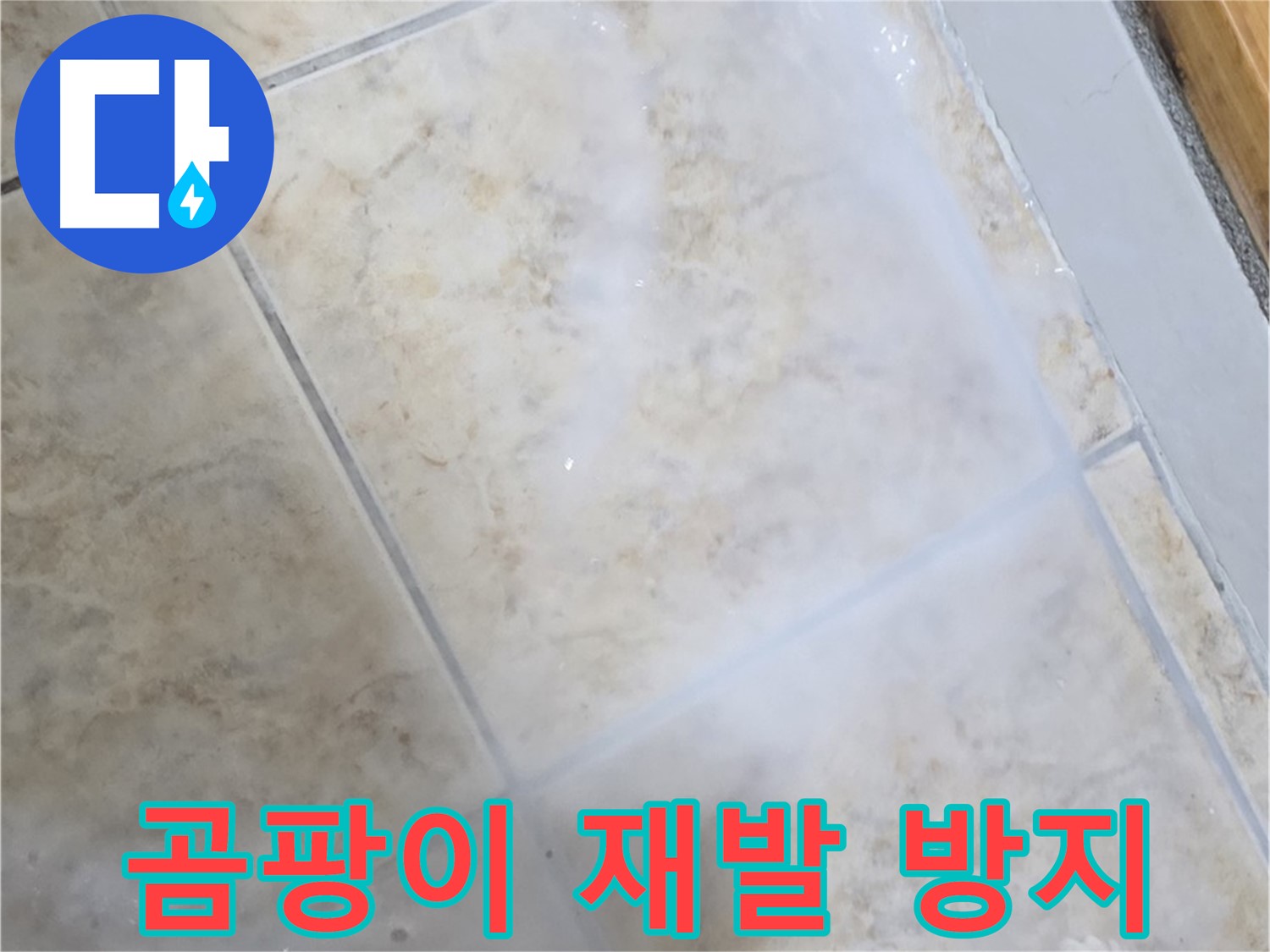 곰팡이 재발 방지 - 특수 시공으로 - 오랫동안 안심!