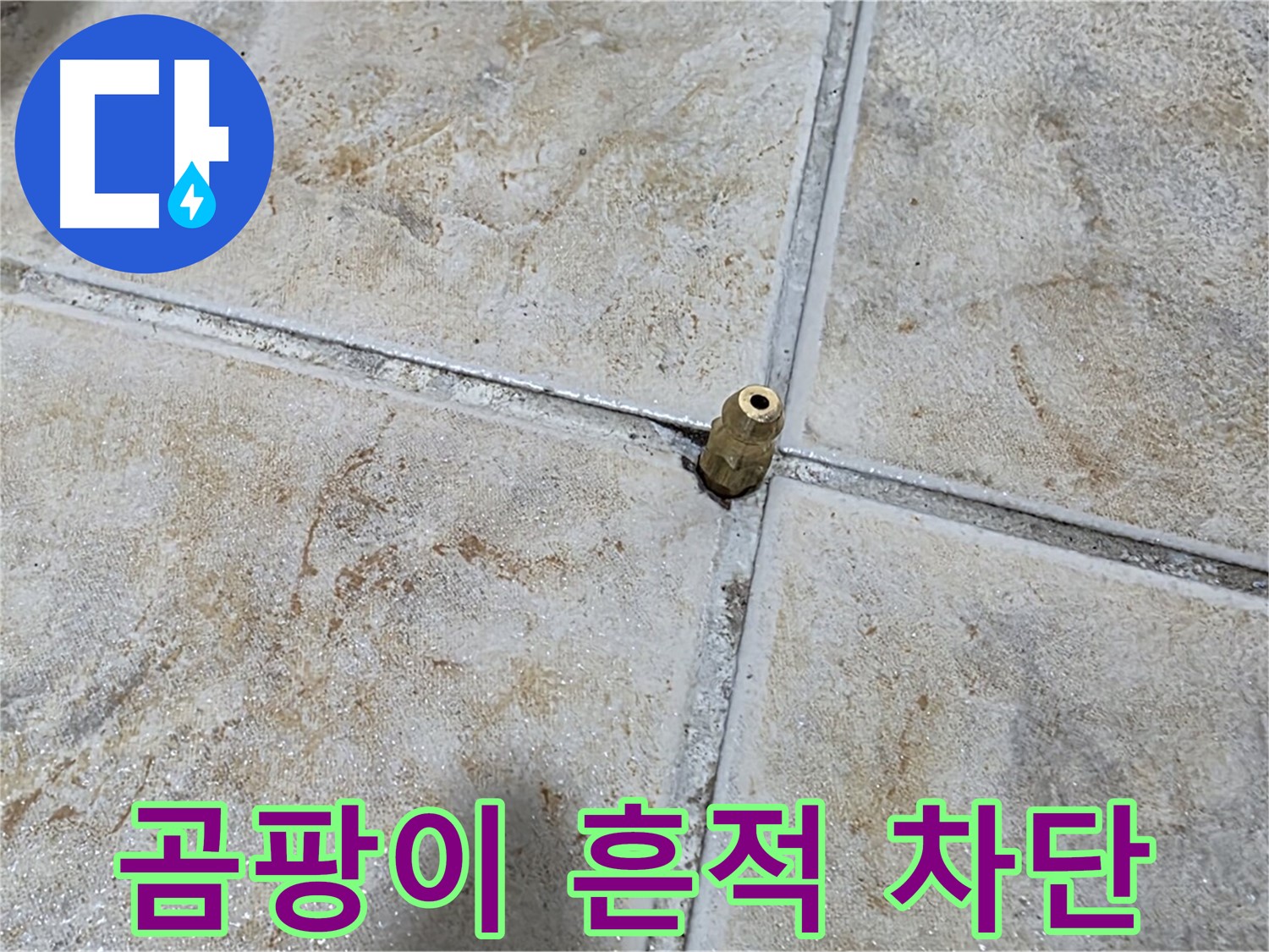 곰팡이 흔적 차단 - 타일 틈새의 곰팡이 흔적, 중랑구 누수 완벽 차단 시공으로 해결 완료합니다.