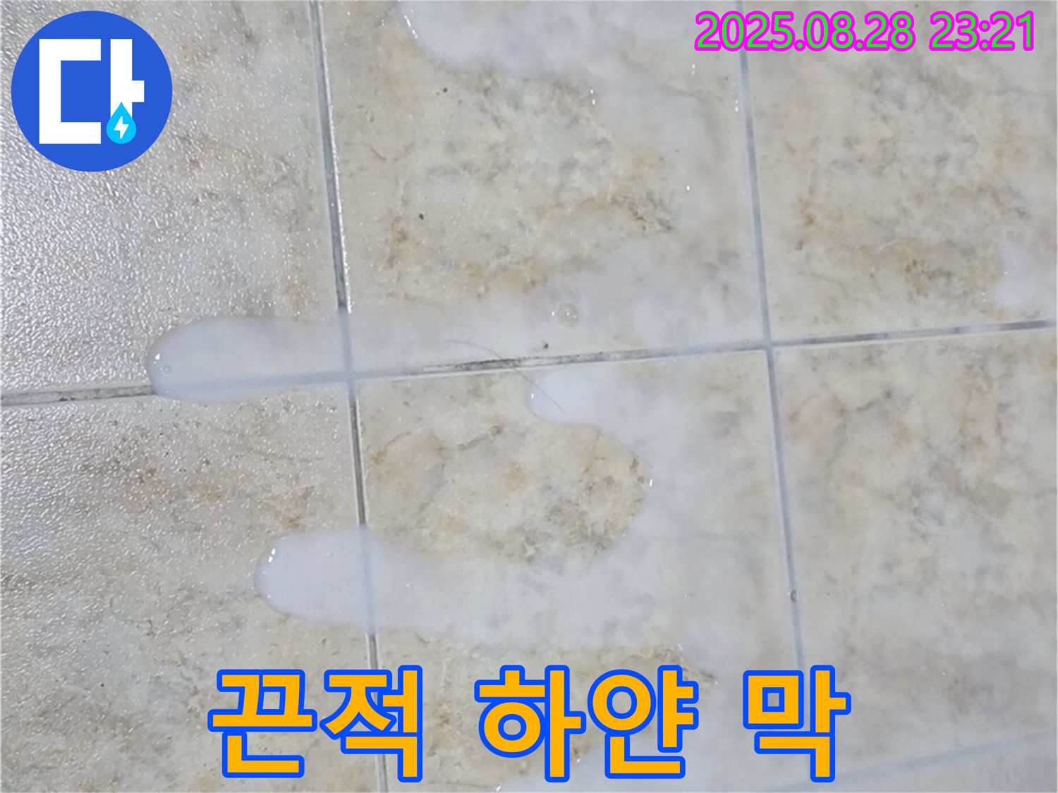 끈적거리고 하얀 막 생기는 백시멘트 - 중랑구 묵동 주택 욕실에서 물이 닿으면 끈적거리고 하얀 막도 생기는 백시멘트 - 복합적인 손상 징후입니다.